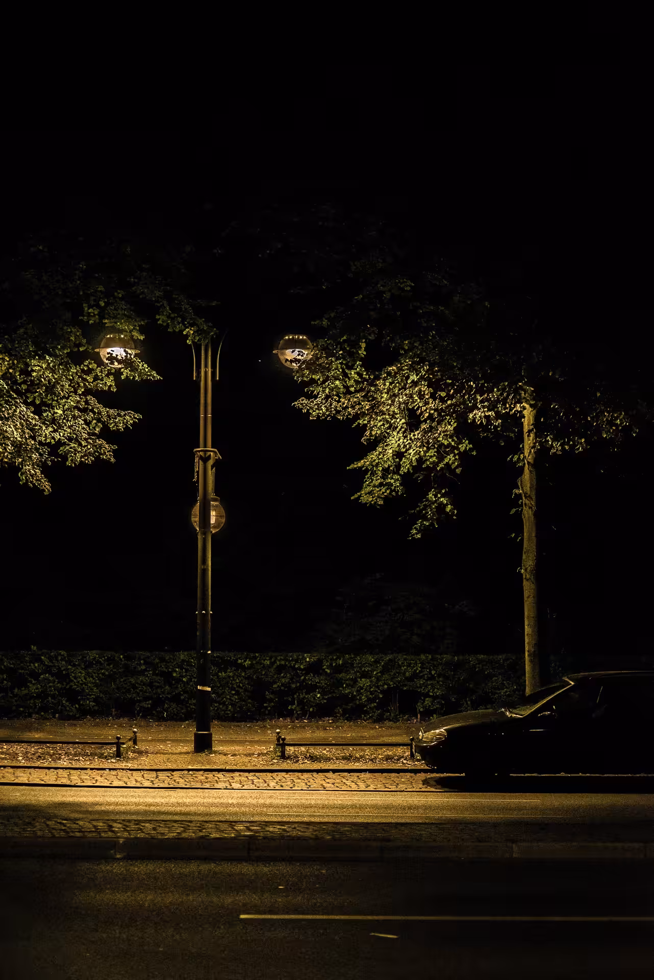 Tiergarten at night