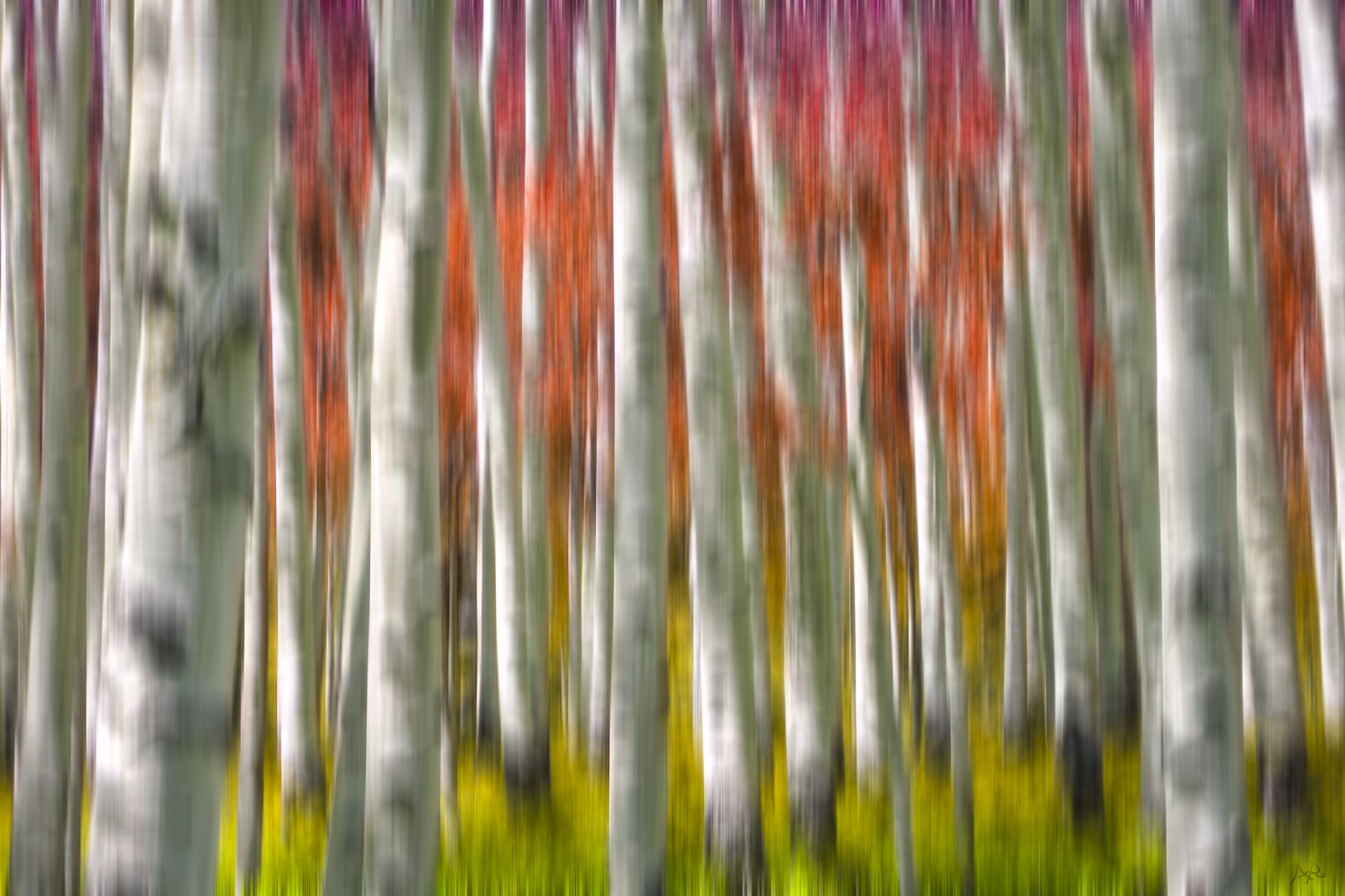 Progression of Autumn