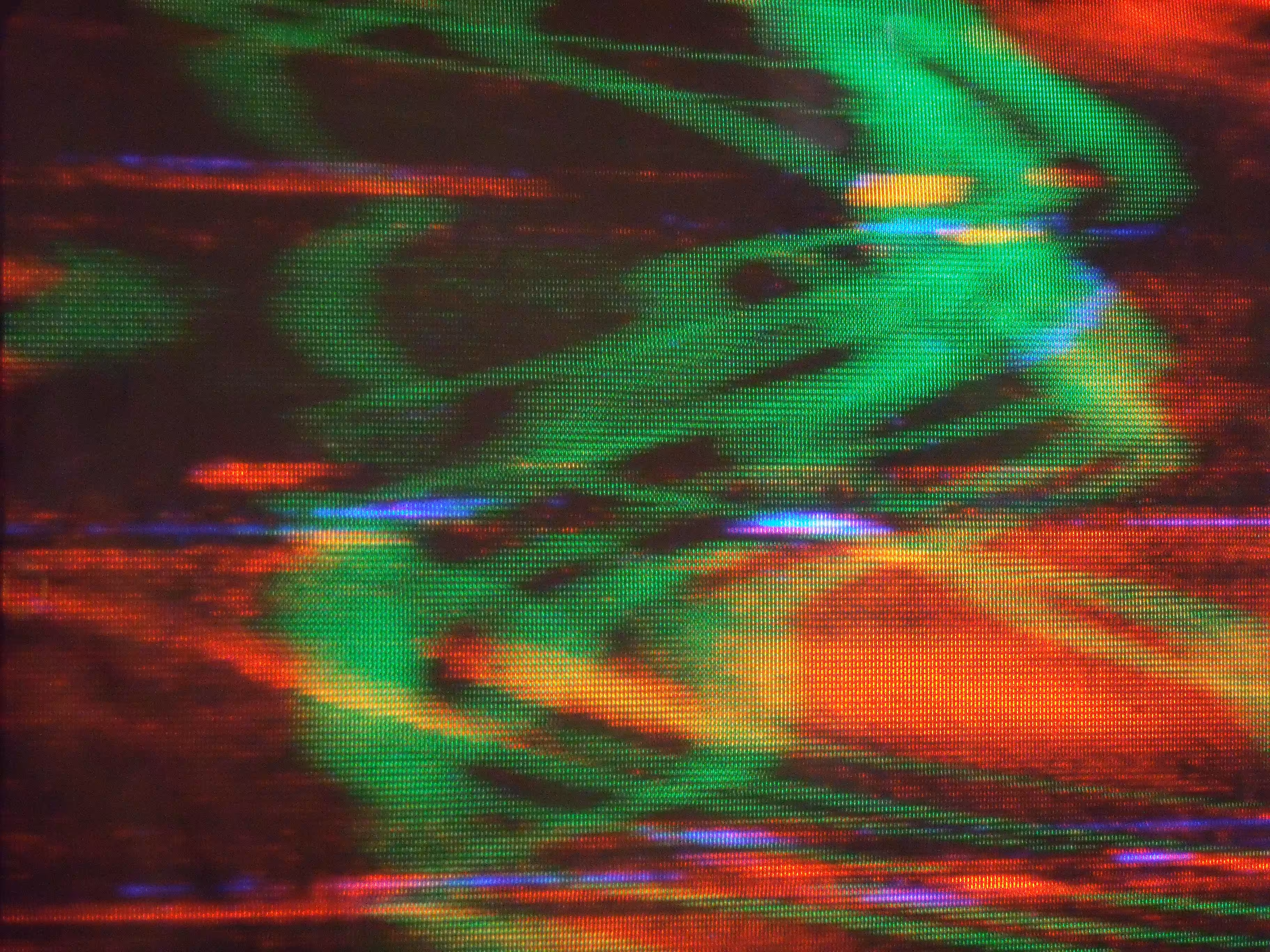 VHS #31