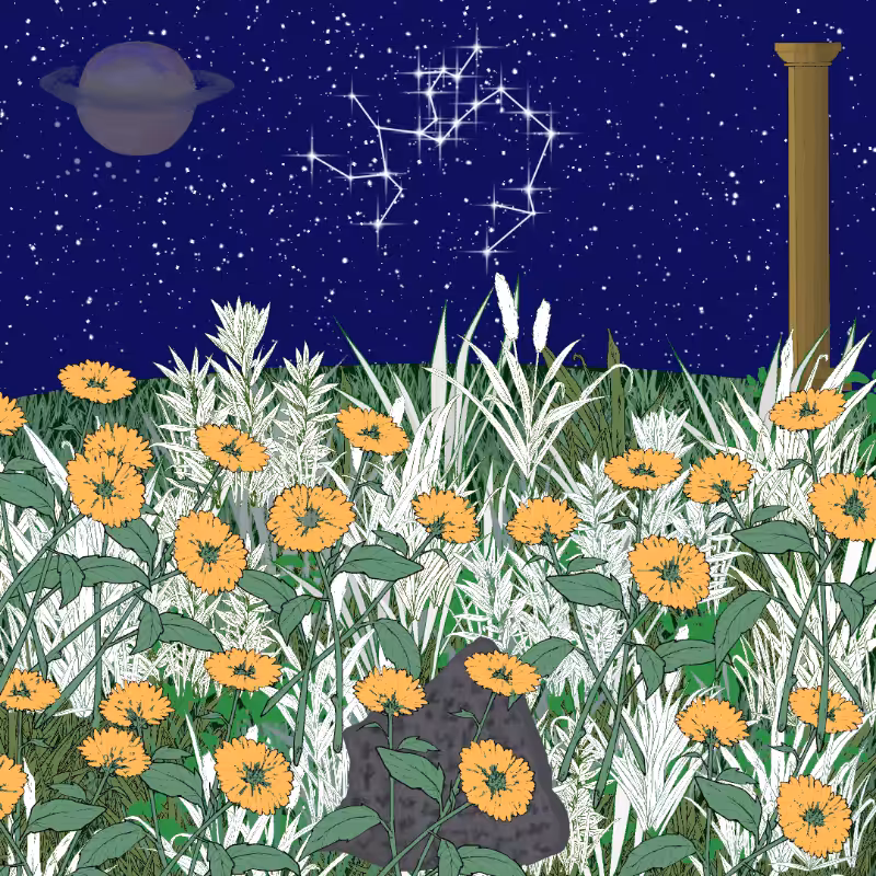 Zodiac #10