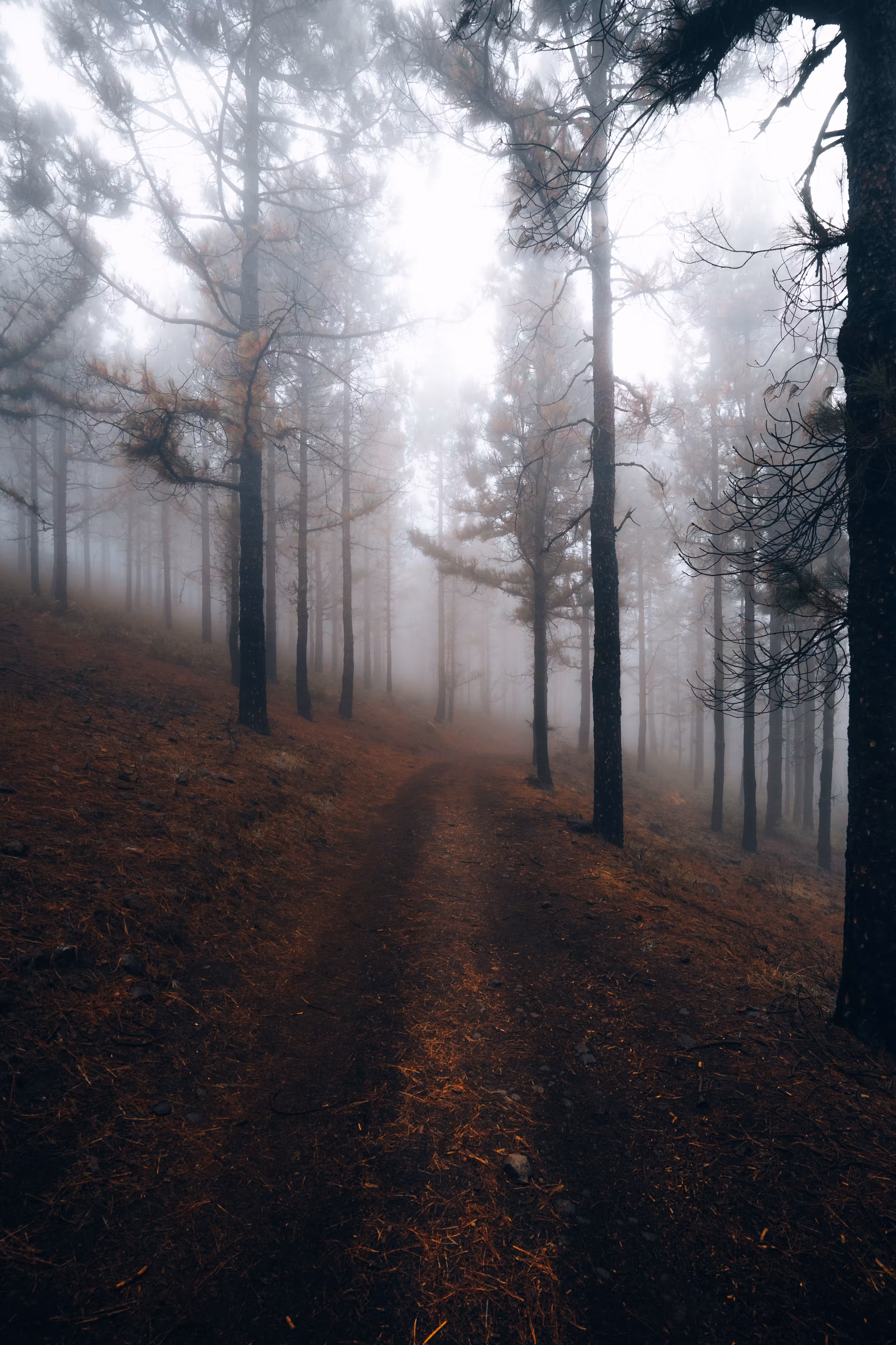 Fogged up World #38