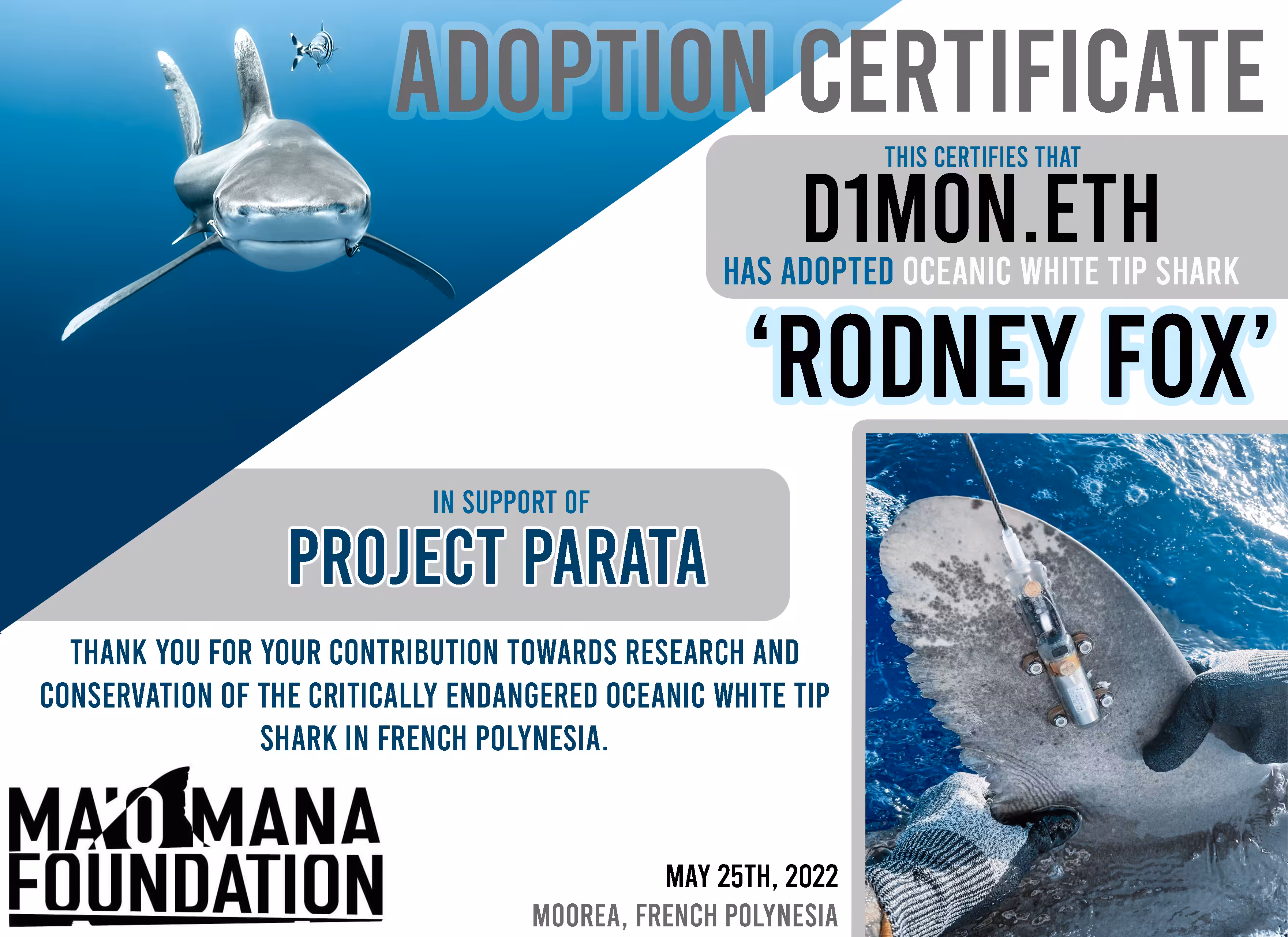 Critically Rare Adoption Certificate