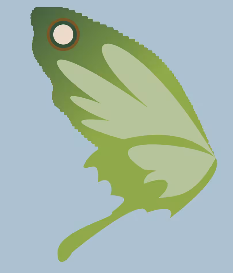 butter+fly #4