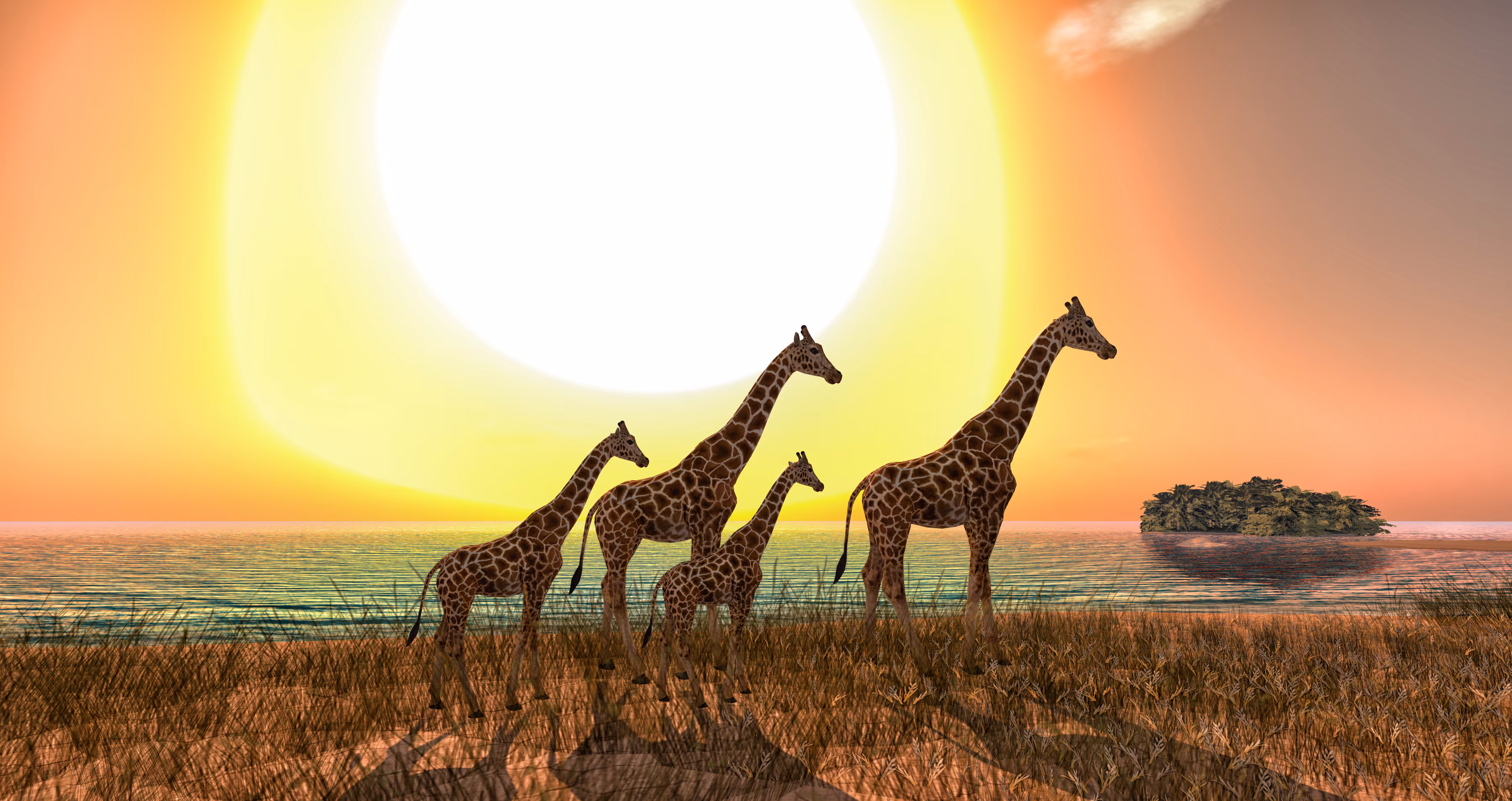 Giraffe Family