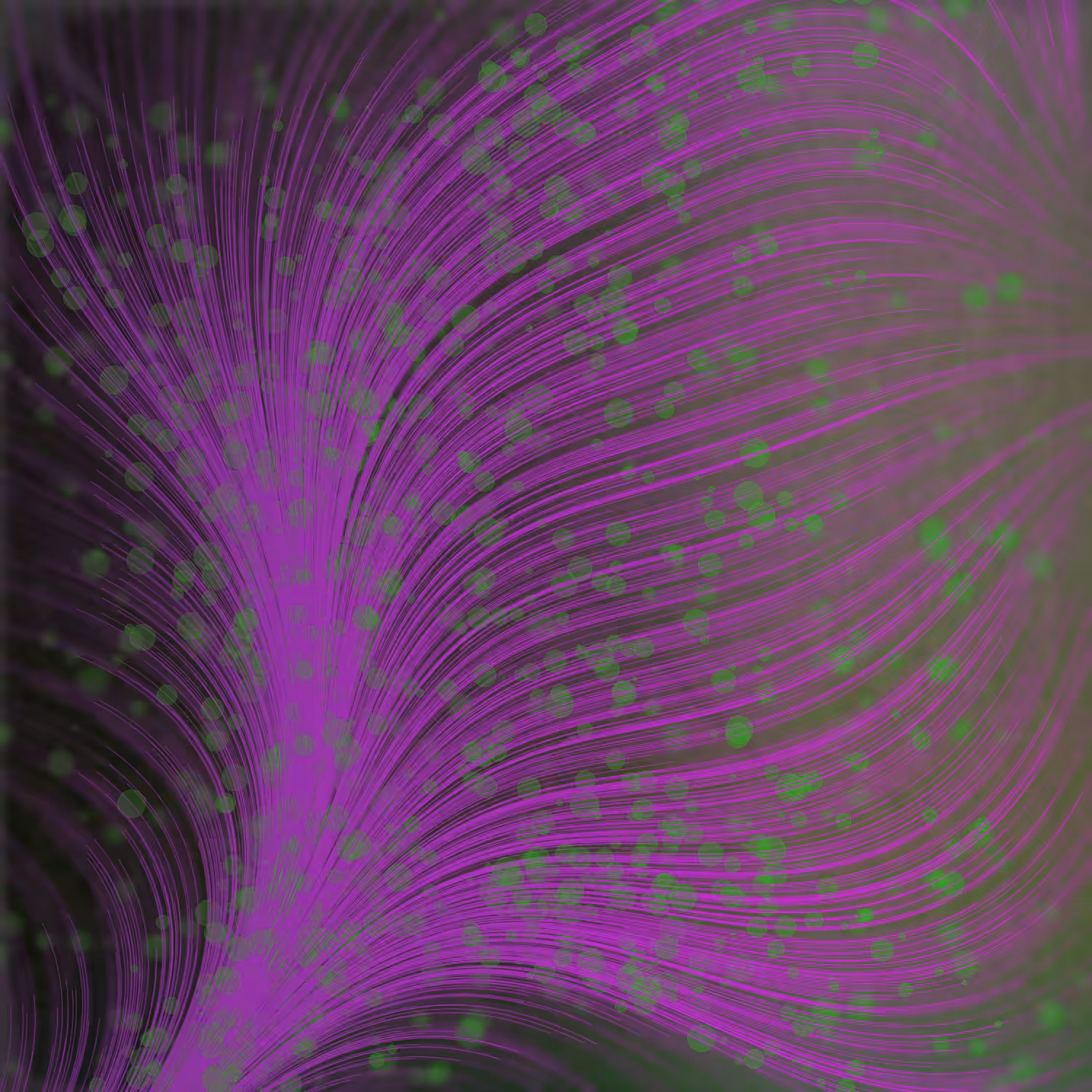 Gentle Force #23