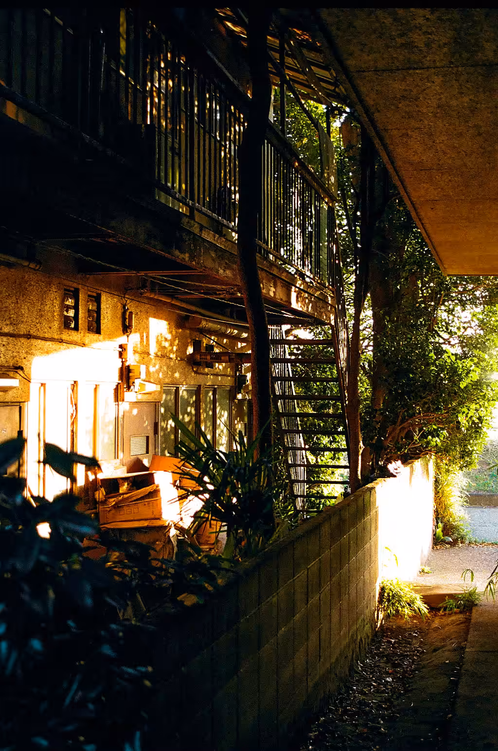 Golden Hour III
