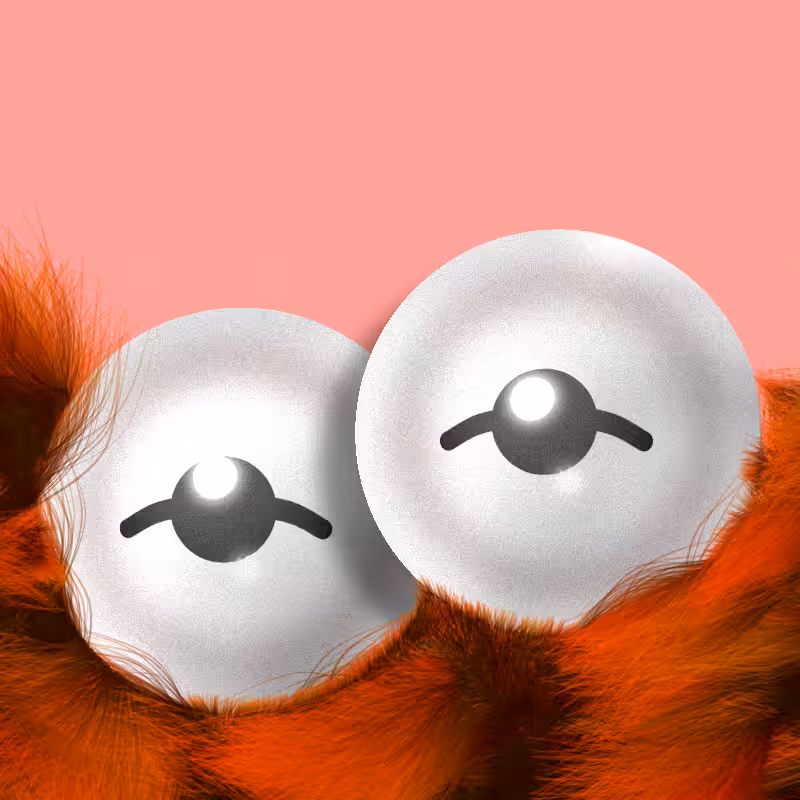Fuzzy Gaze #6