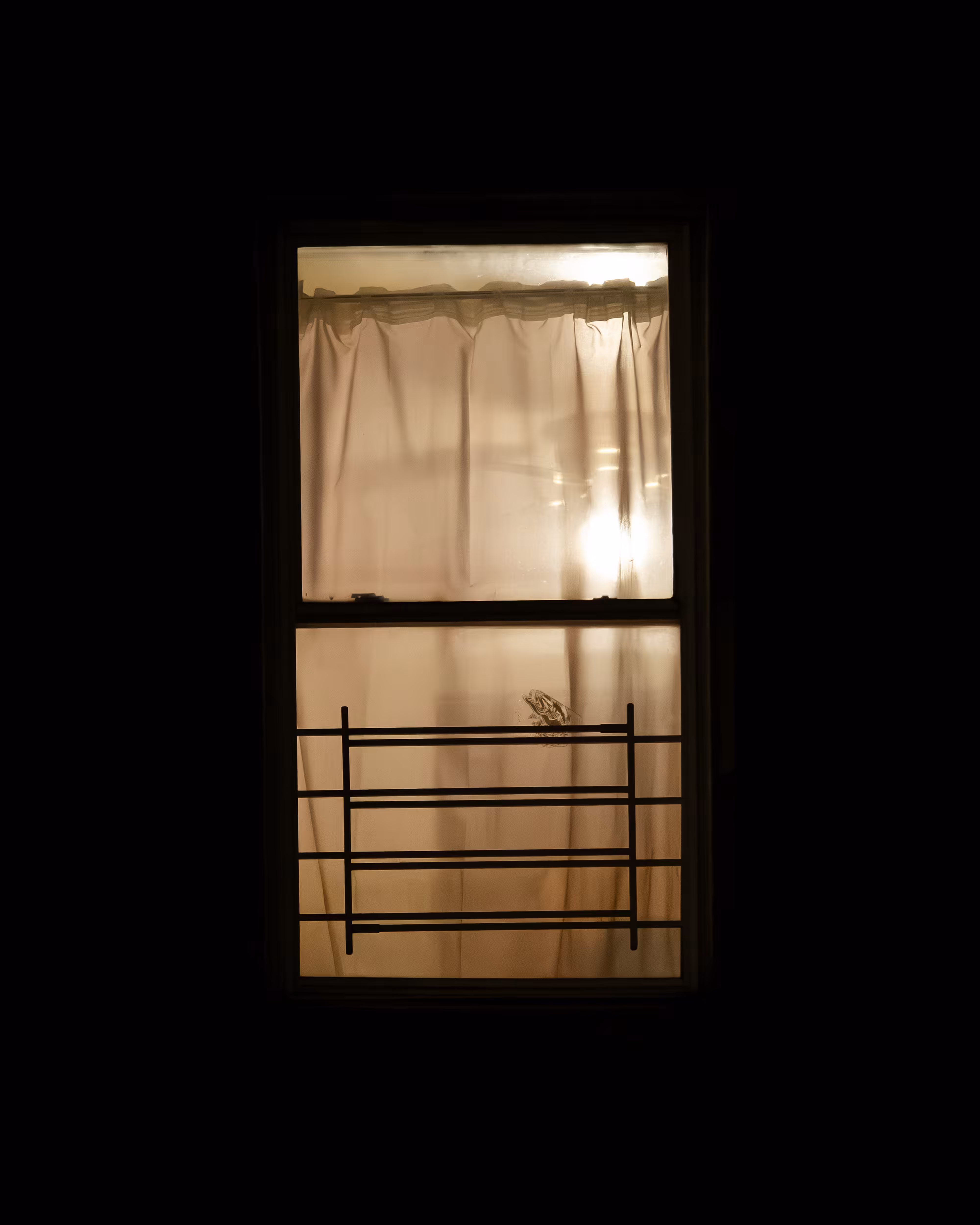 WINDOW 760