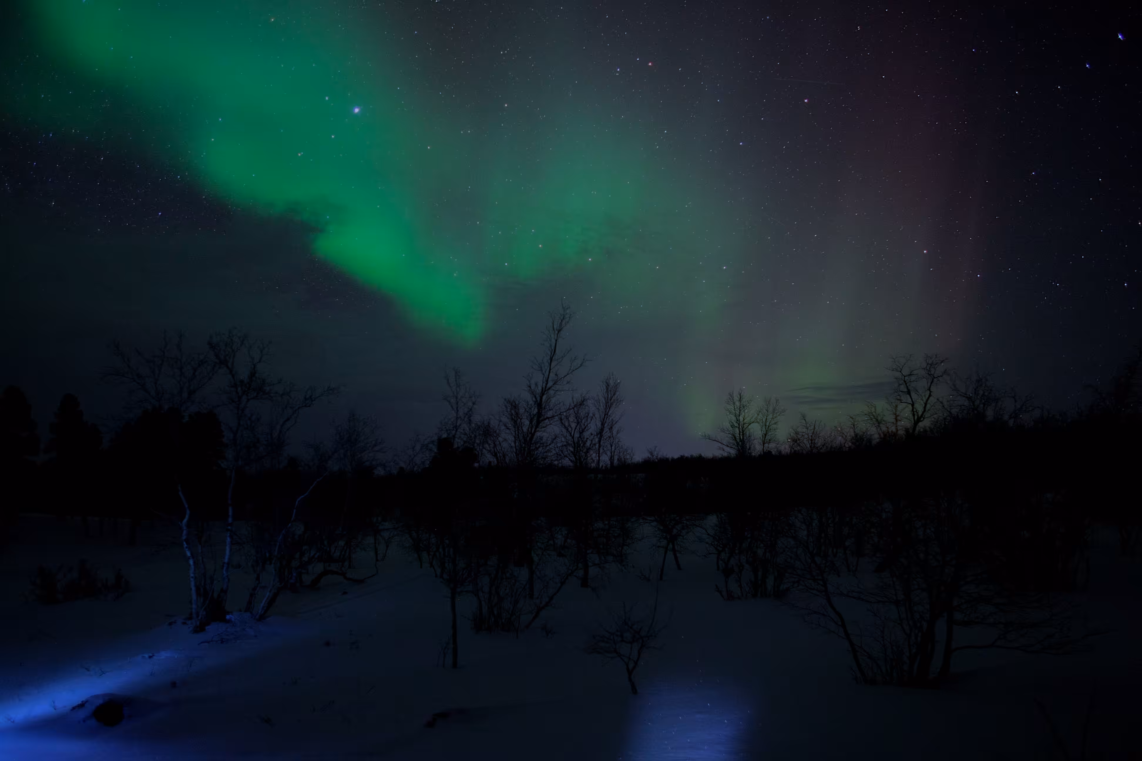 Arctic Light Show