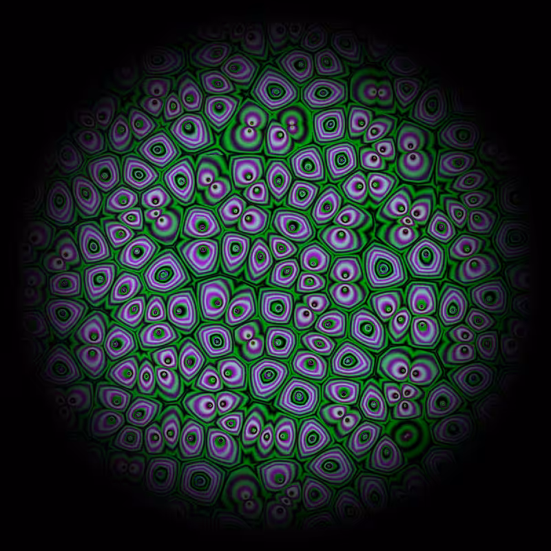 Motile #2