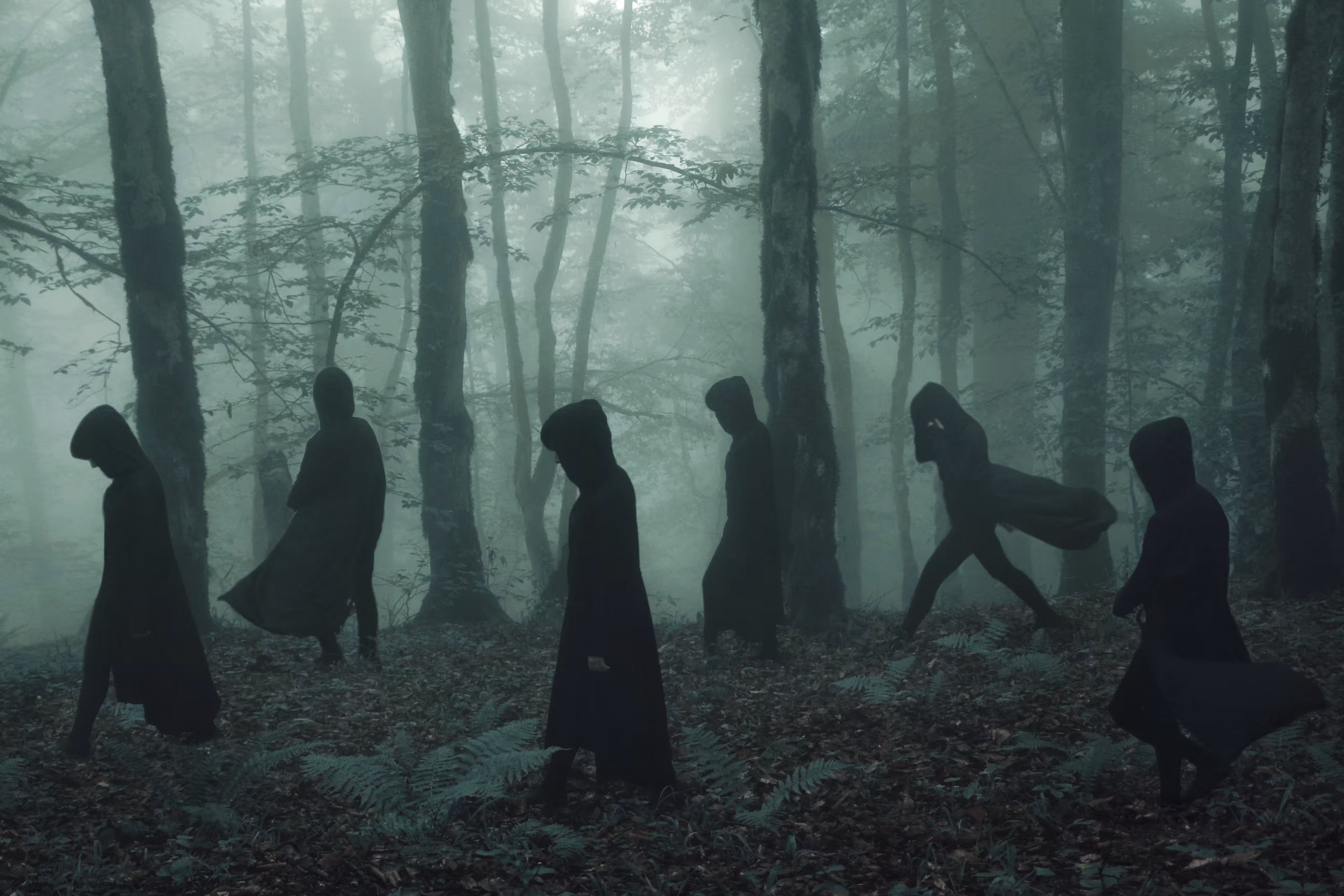 dark forest