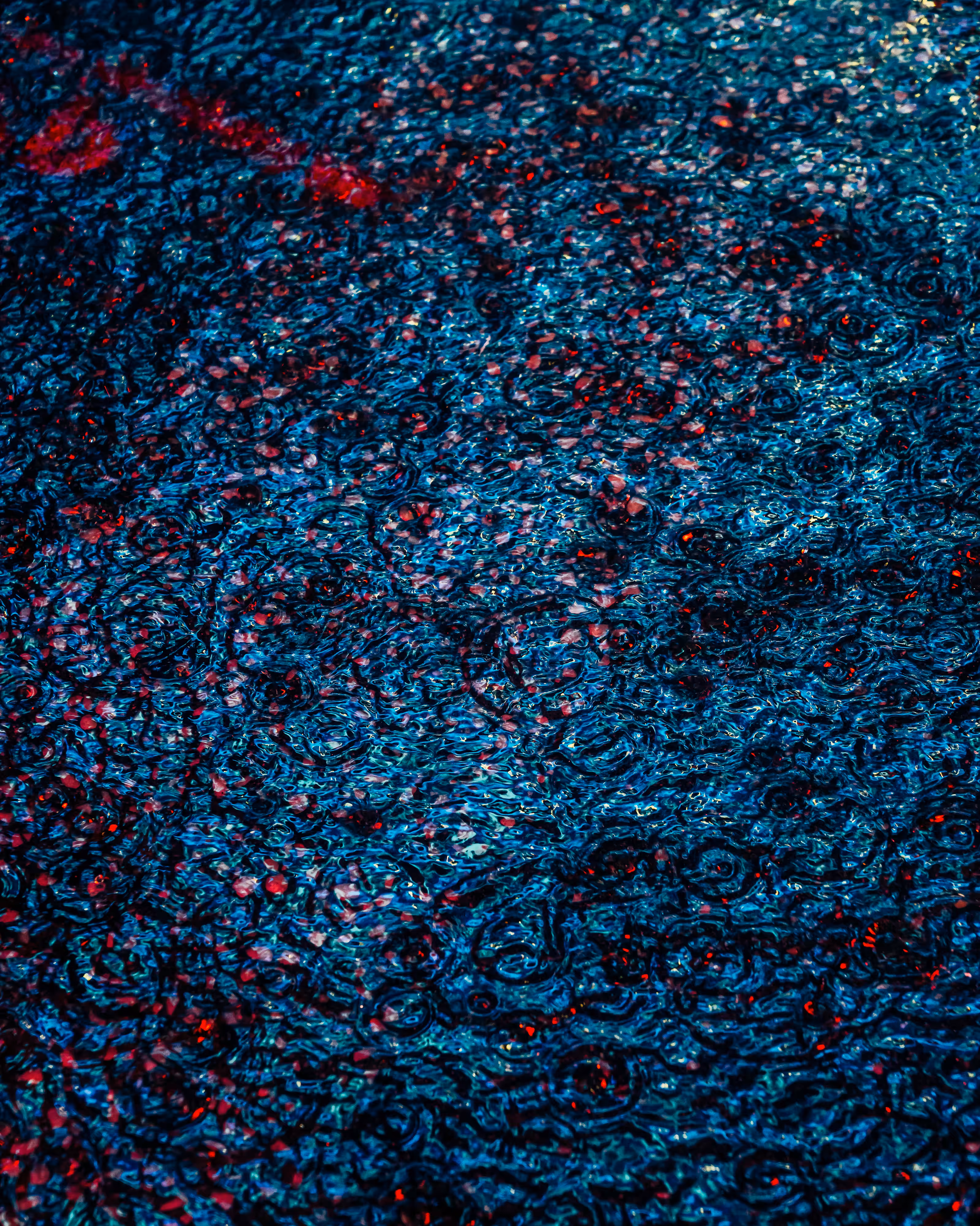 DRIP DROP: DRIP #31