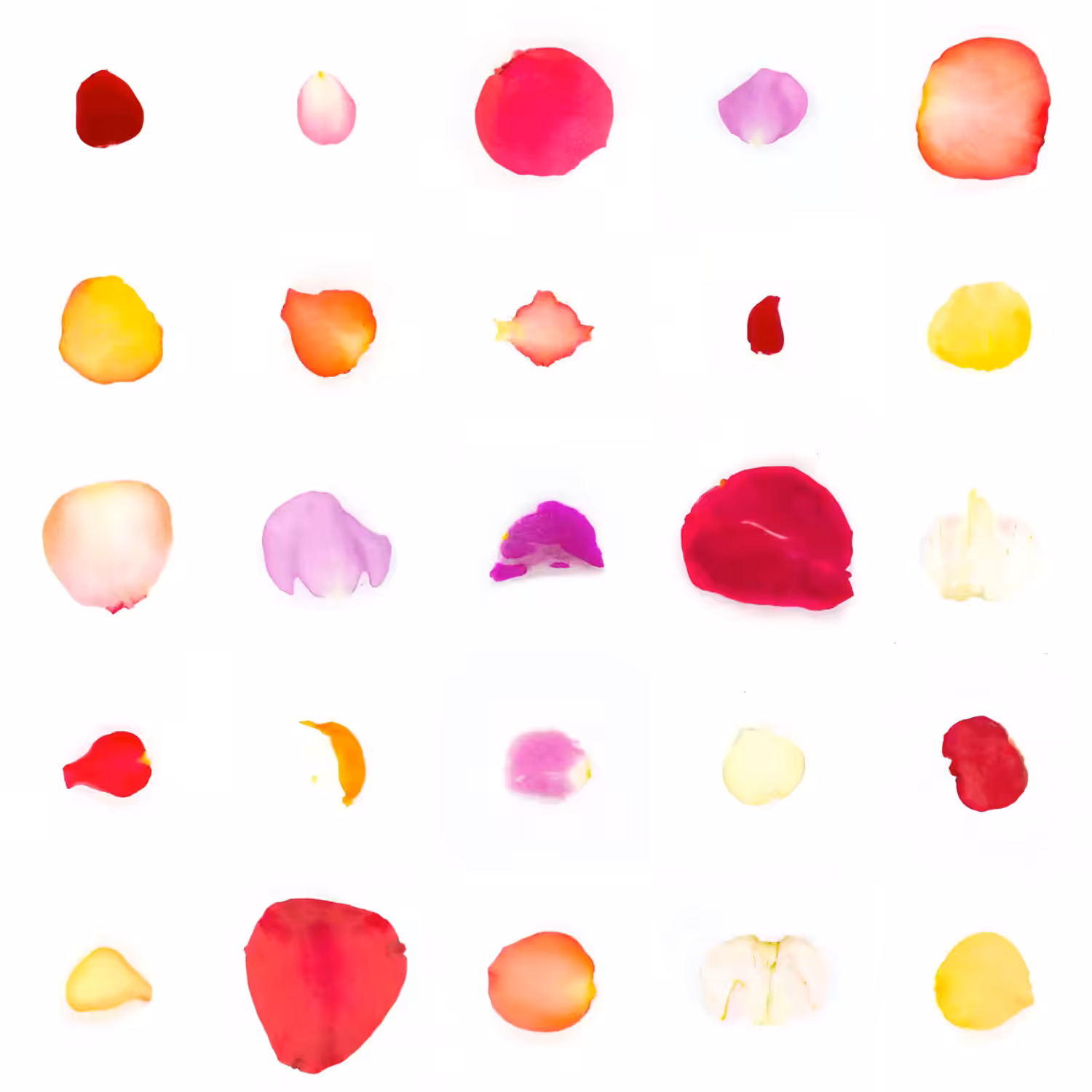 Infinite Petals 5x5#2185