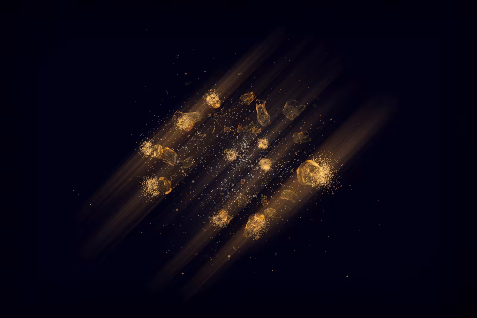 Turtle Vision #48