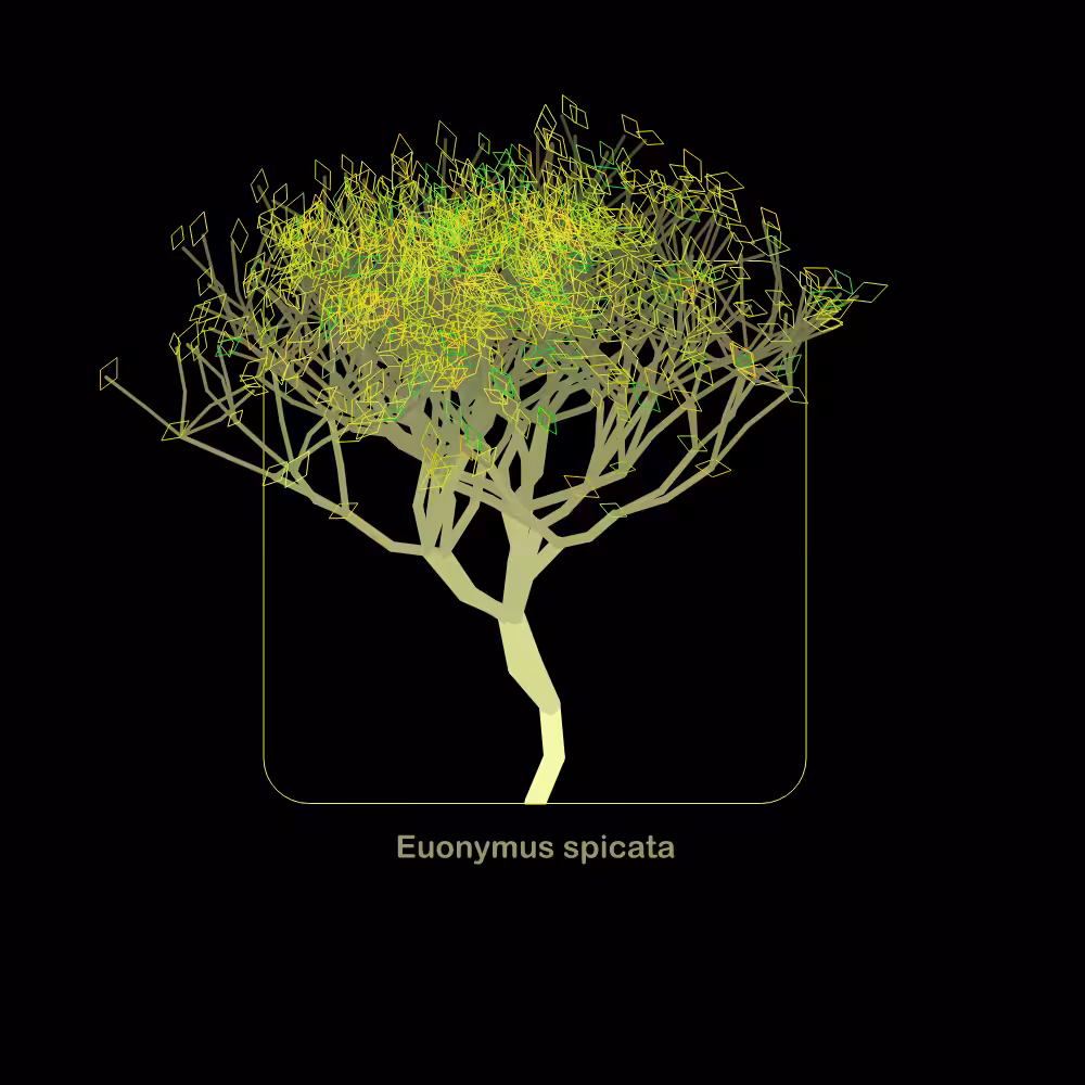 Fluidynamix - Trees #35