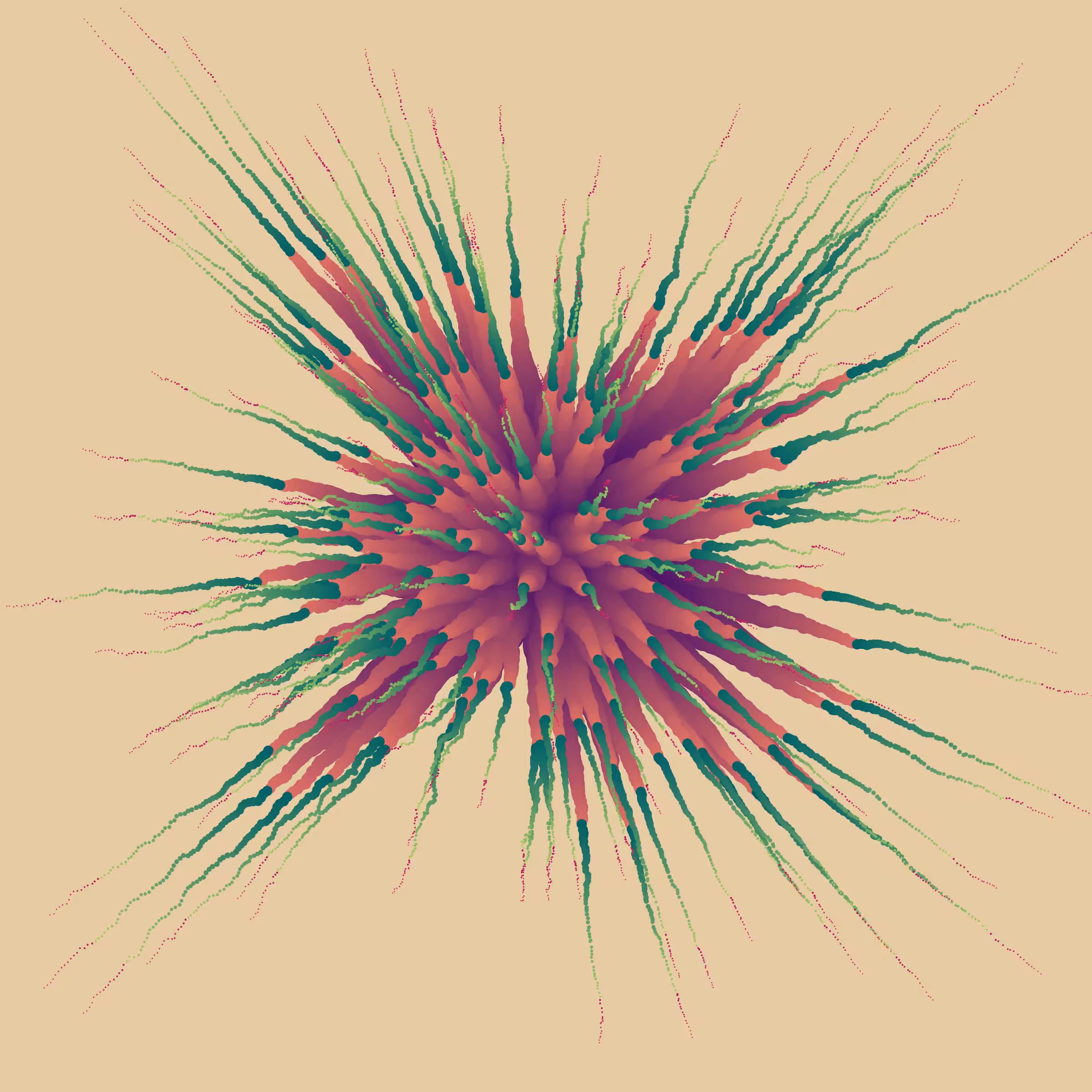 Star Flower #538