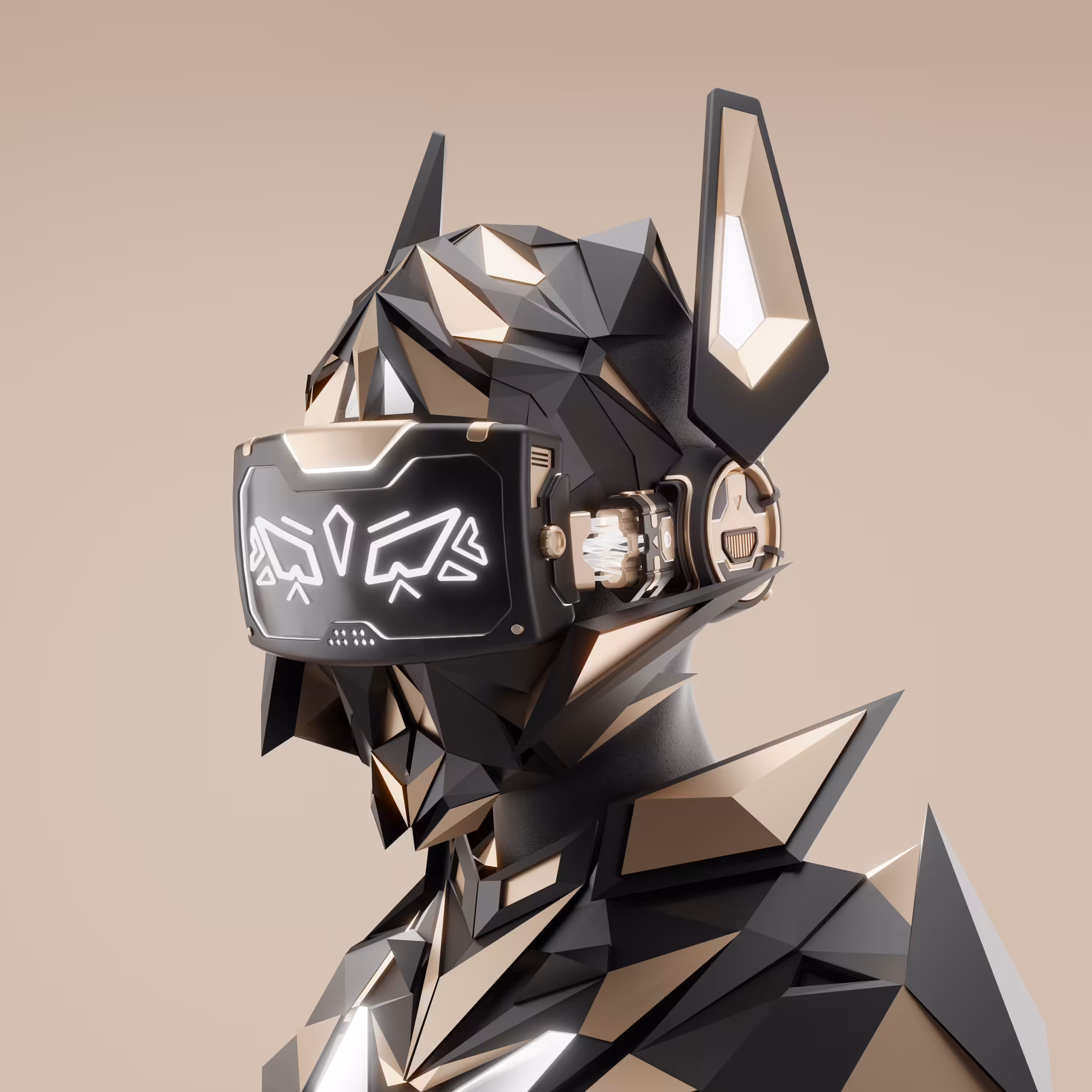 CTZN 0016