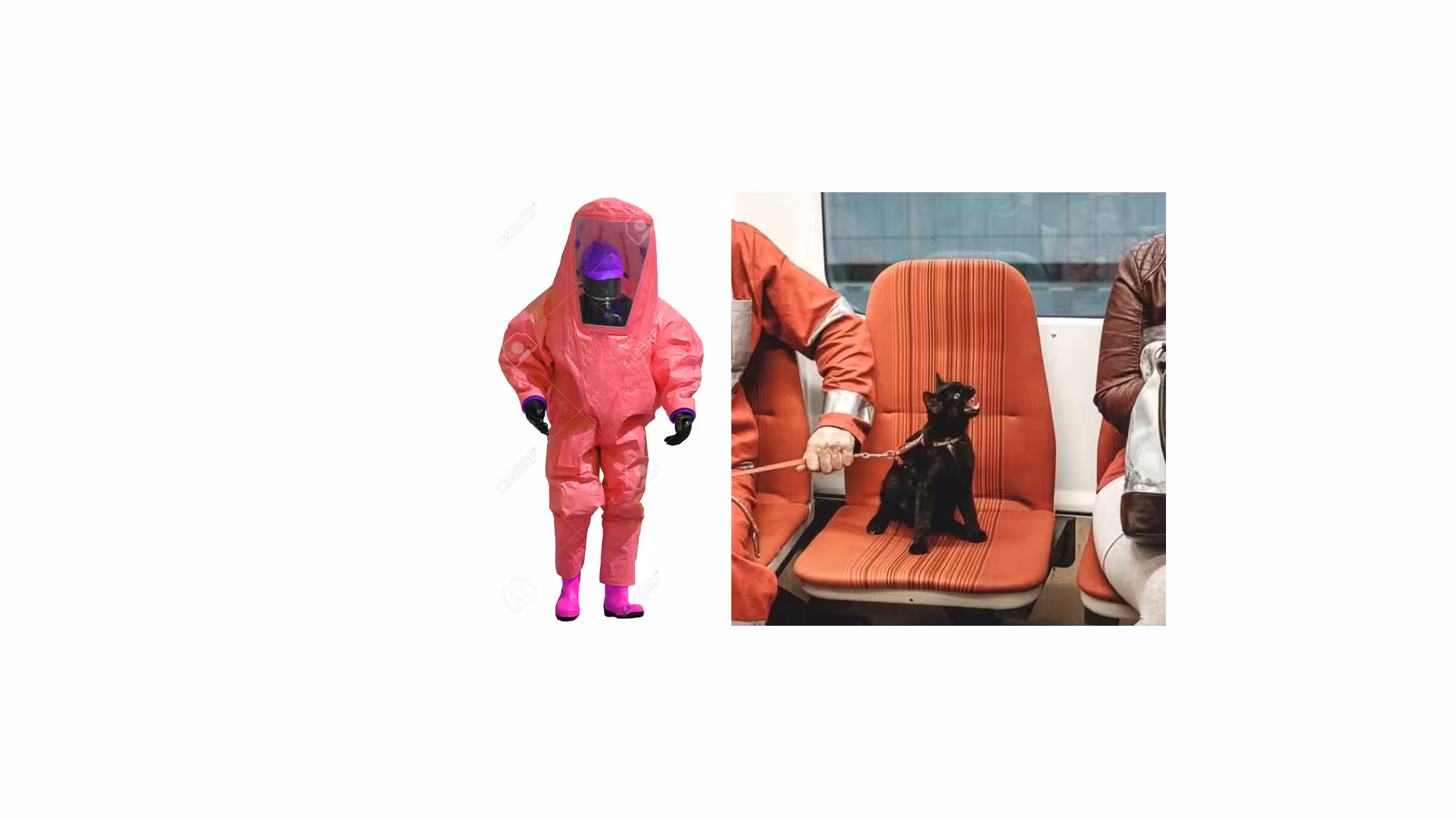 two images 5/9/26