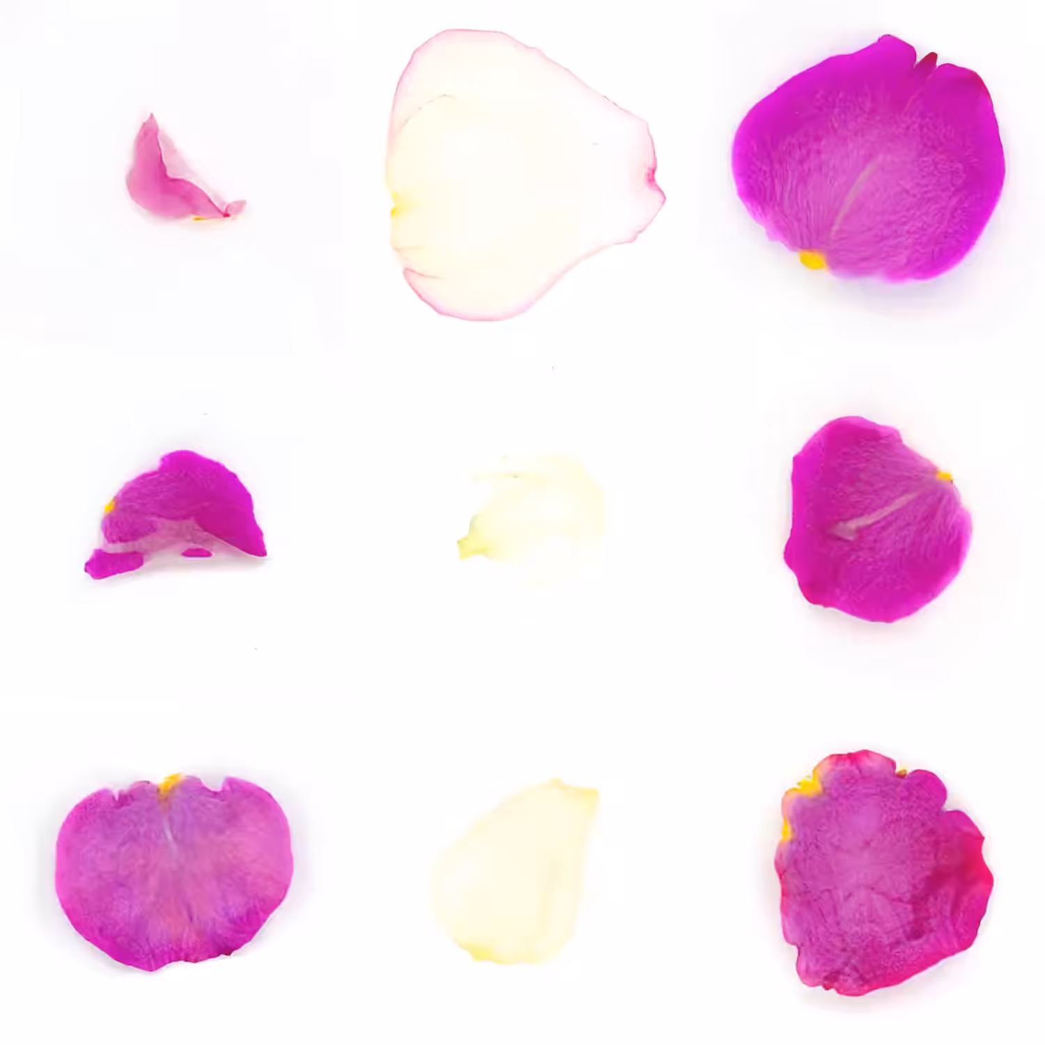 Infinite Petals 3x3#3294