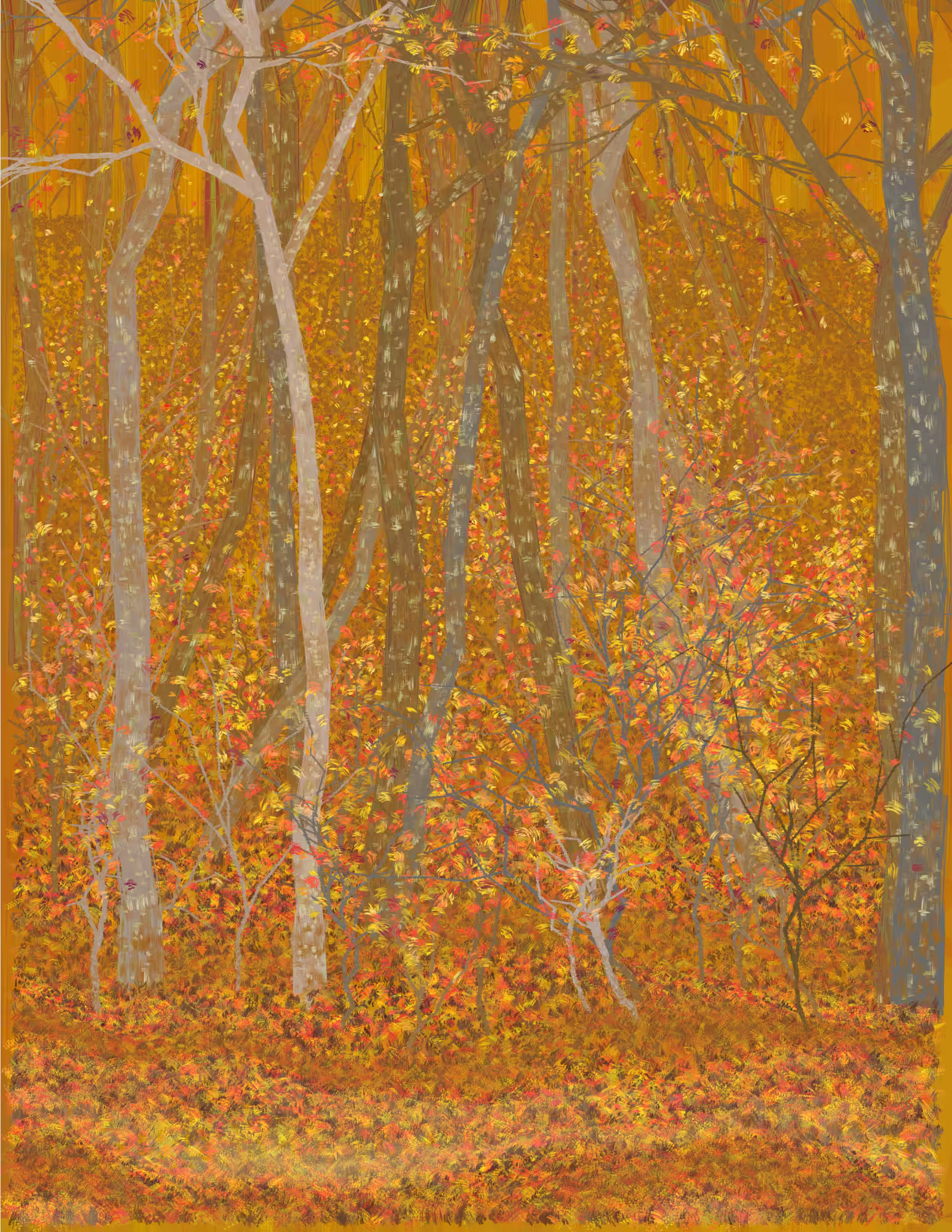 Deep Forest #194