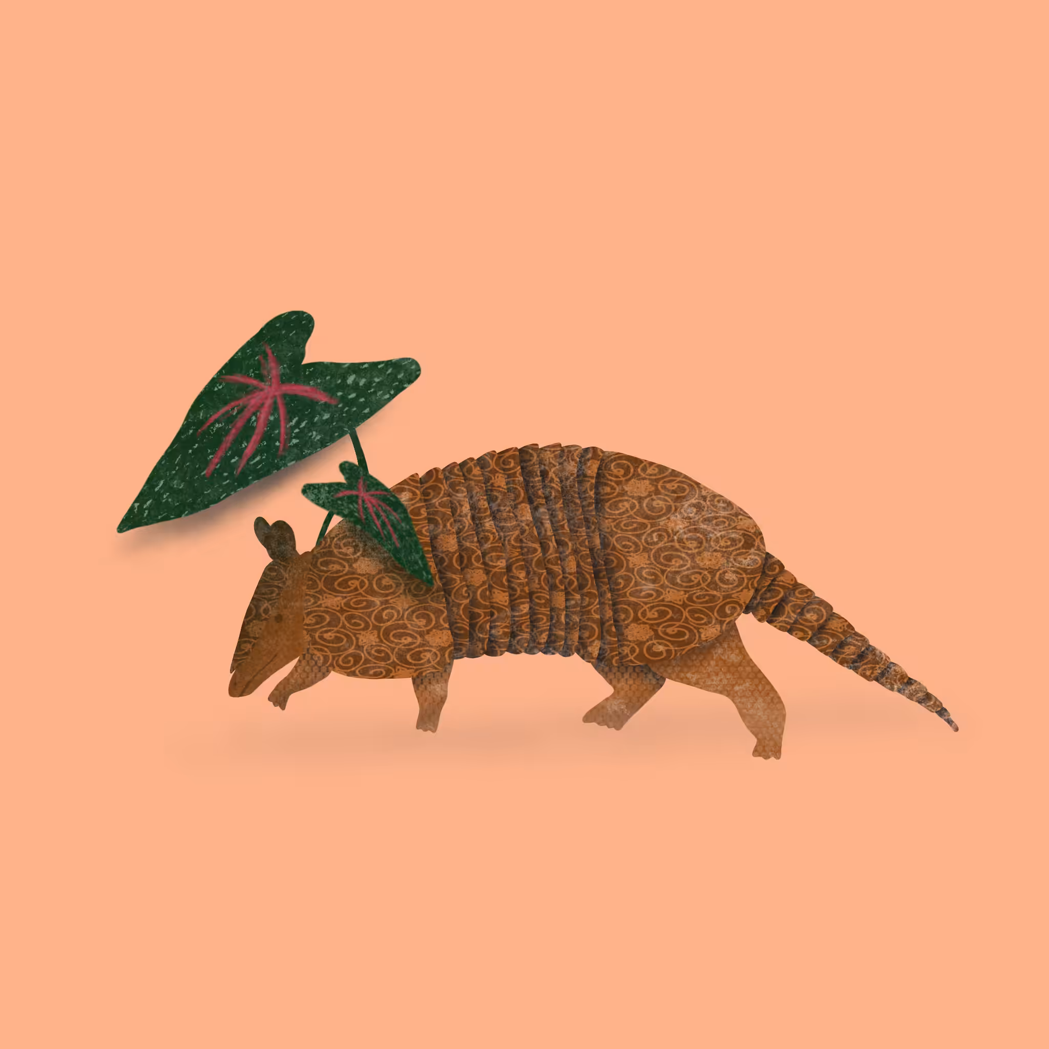 Tatu (Armadillo)