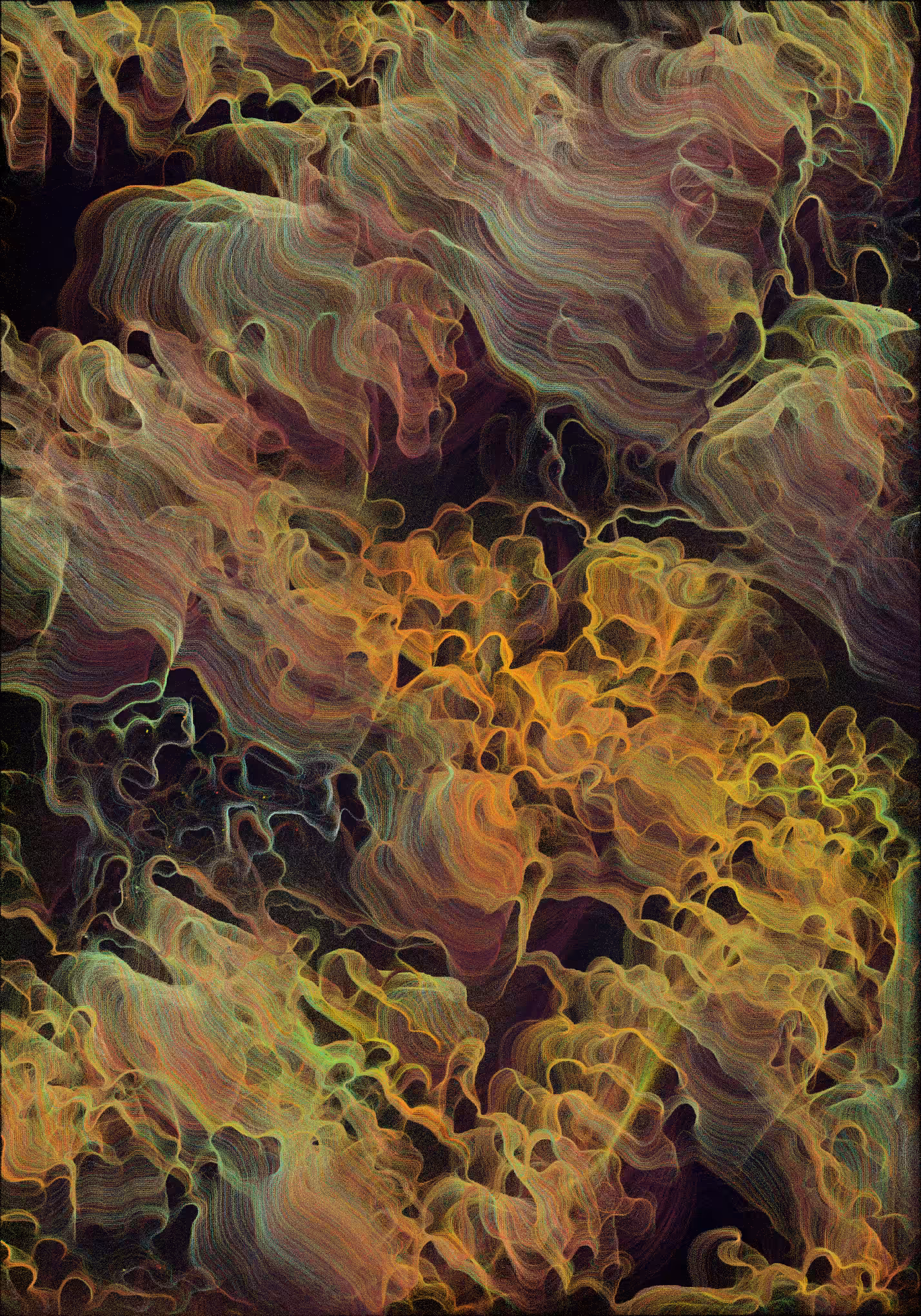 Bloom #77