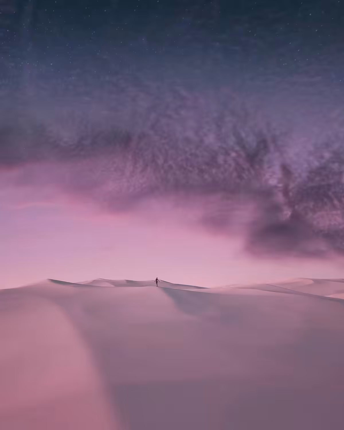 DUNESCAPE XVI