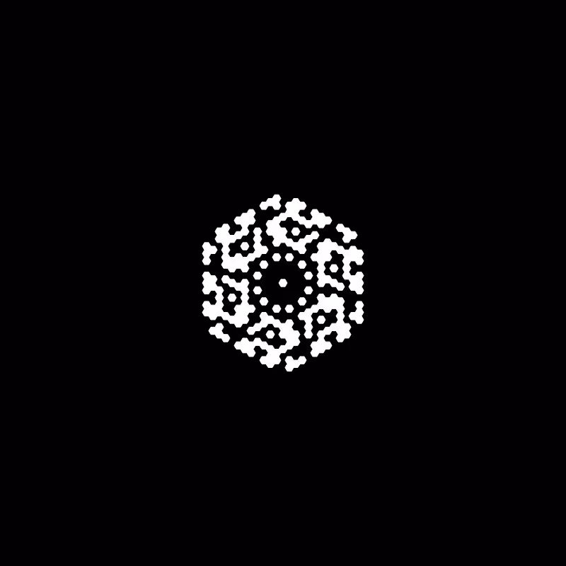 Snowflake #260