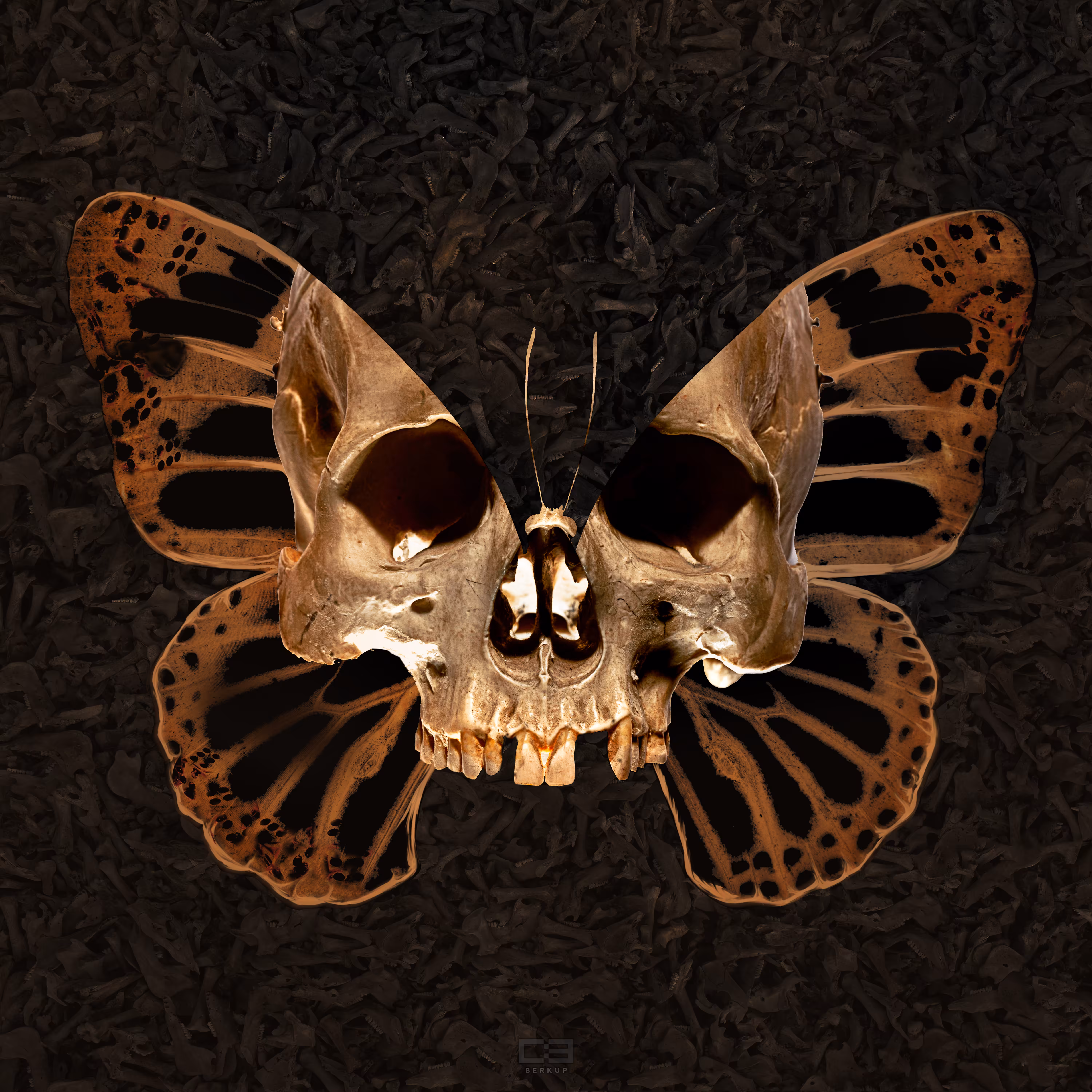 Betterfly - Skull
