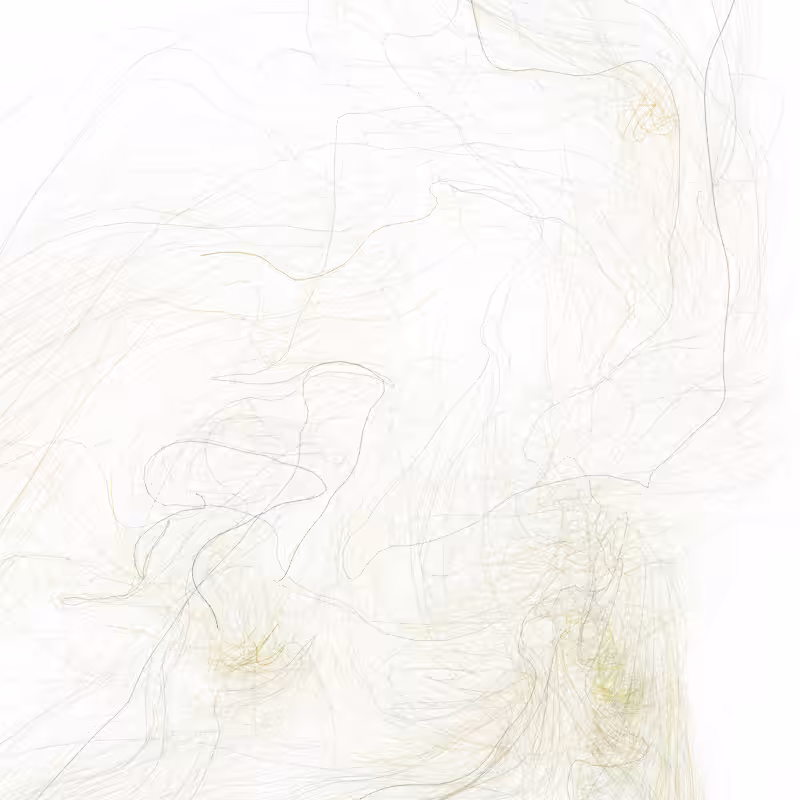 Hypericum #5