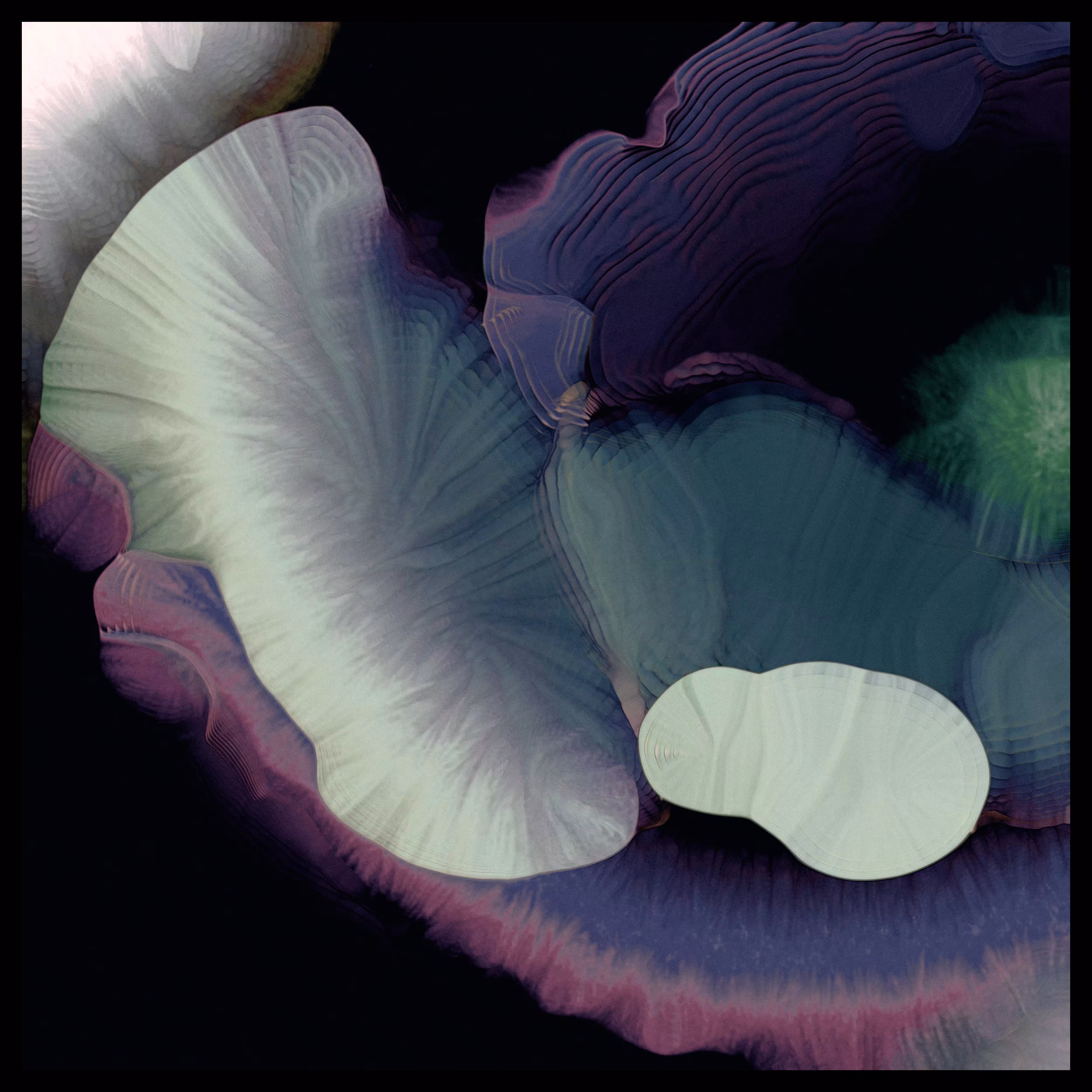 Bloom_03