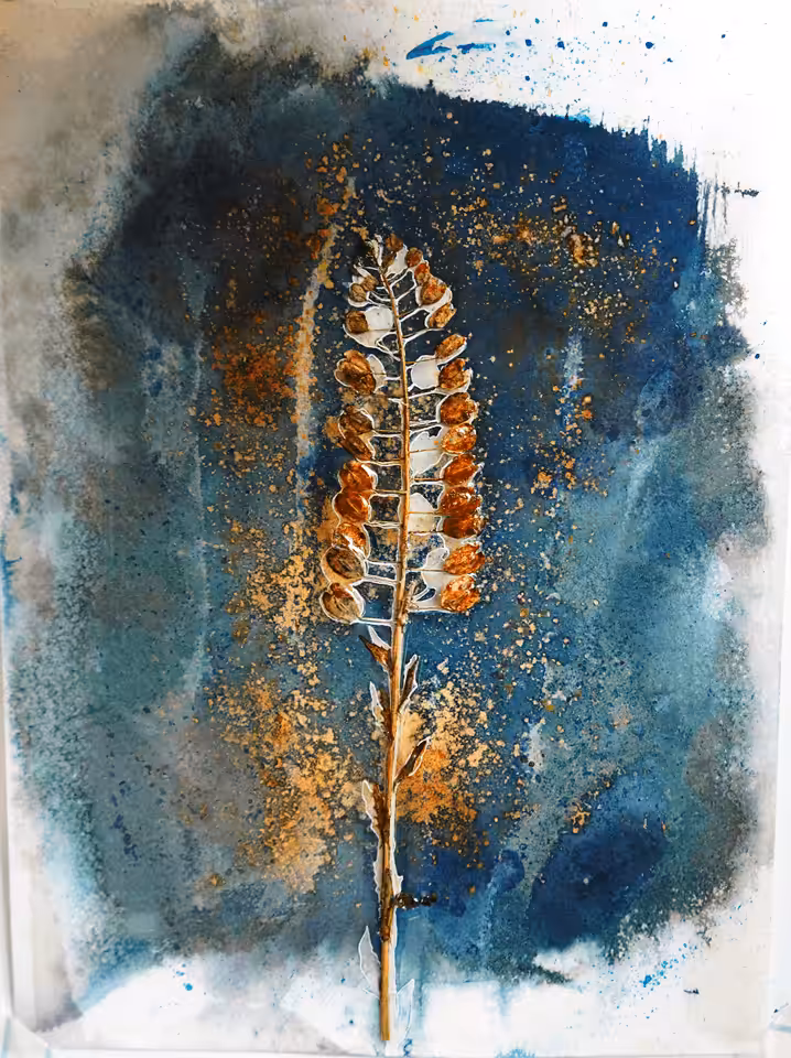 Wildflower