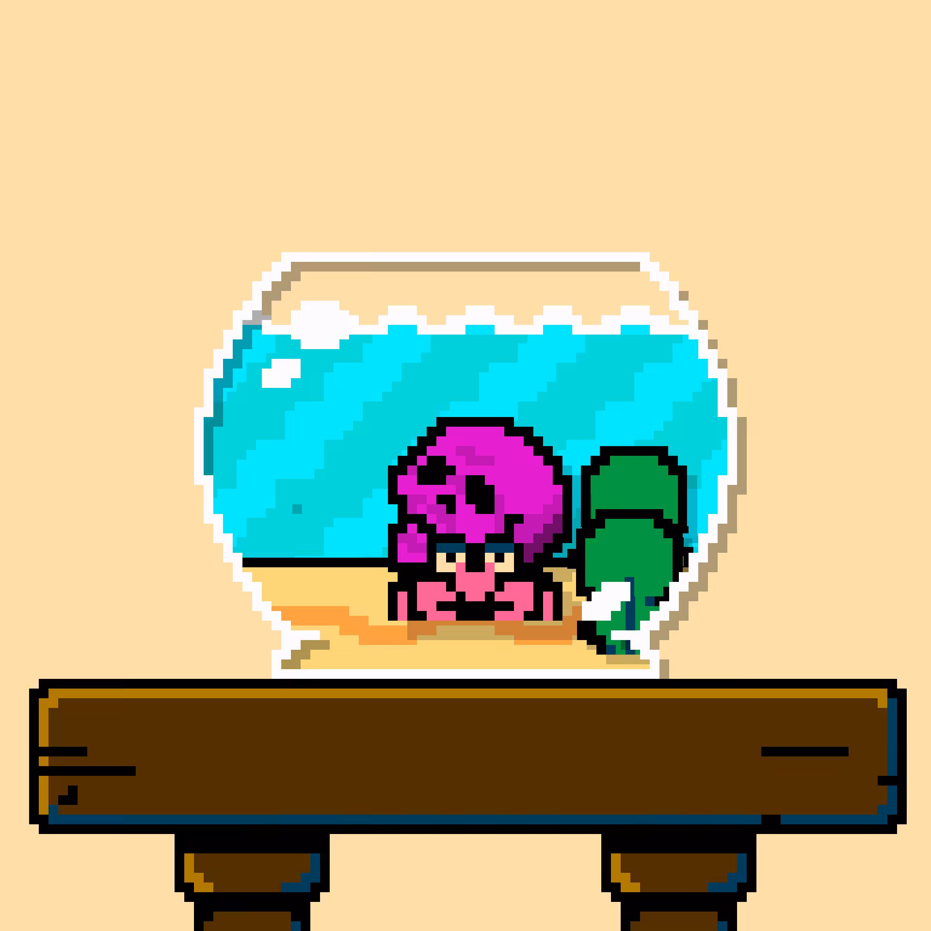 hermit crab #171