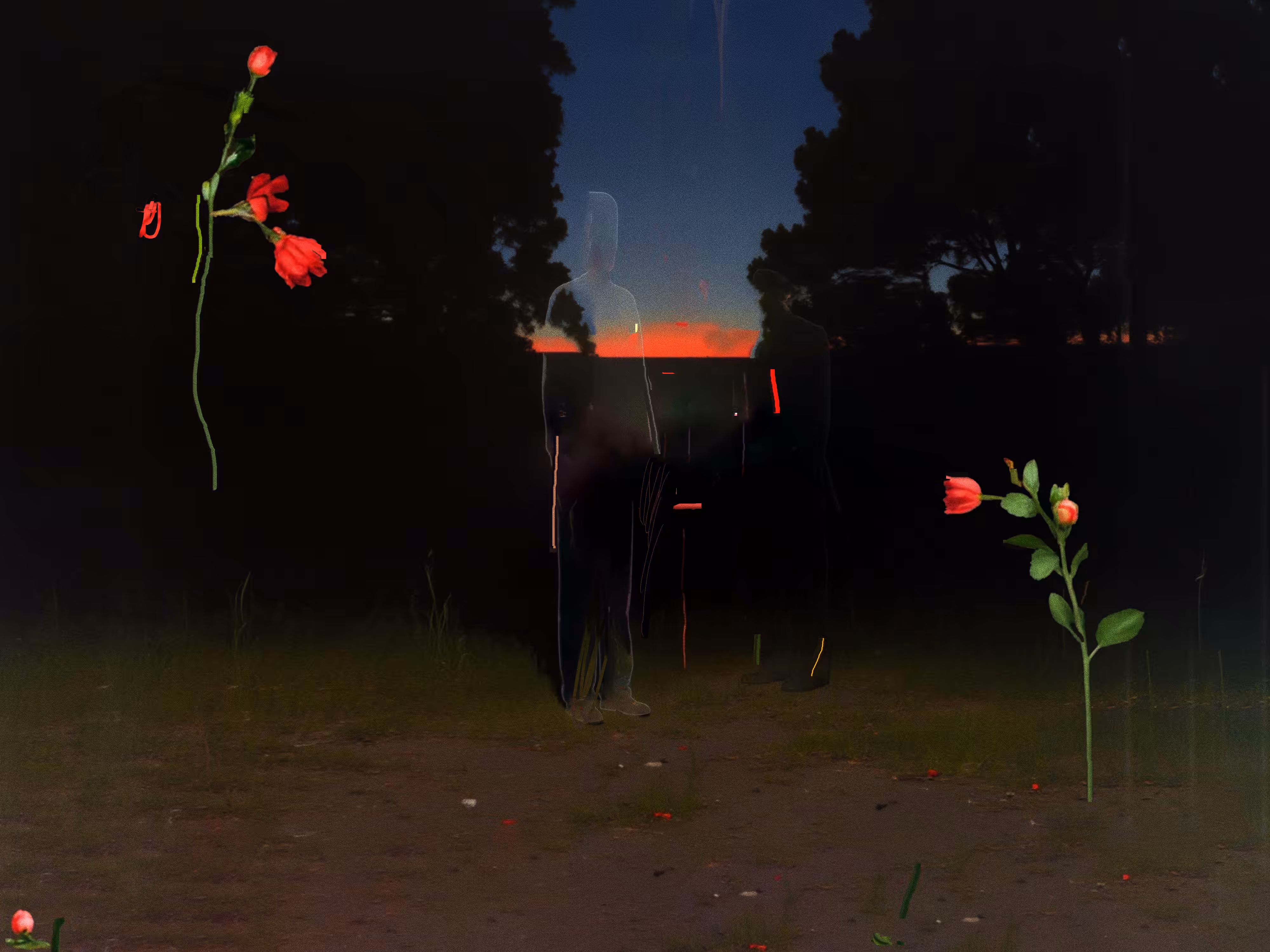 Nocturnal Everlastings