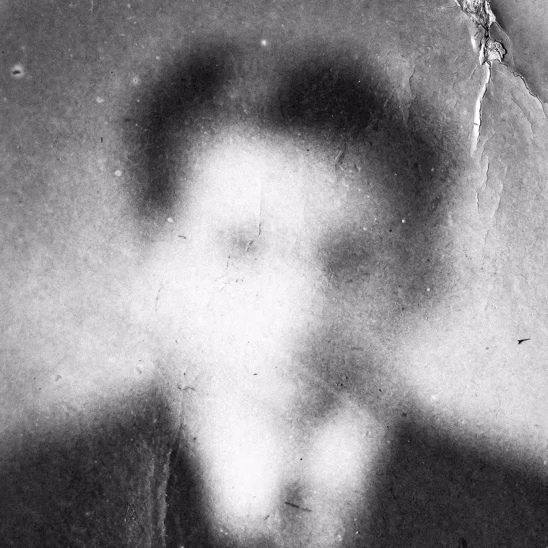 La fragilidad de la memoria: Enigma