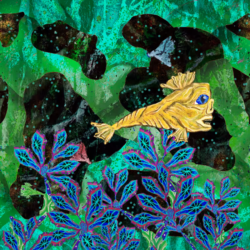 WEIRD FISHES #1  #19