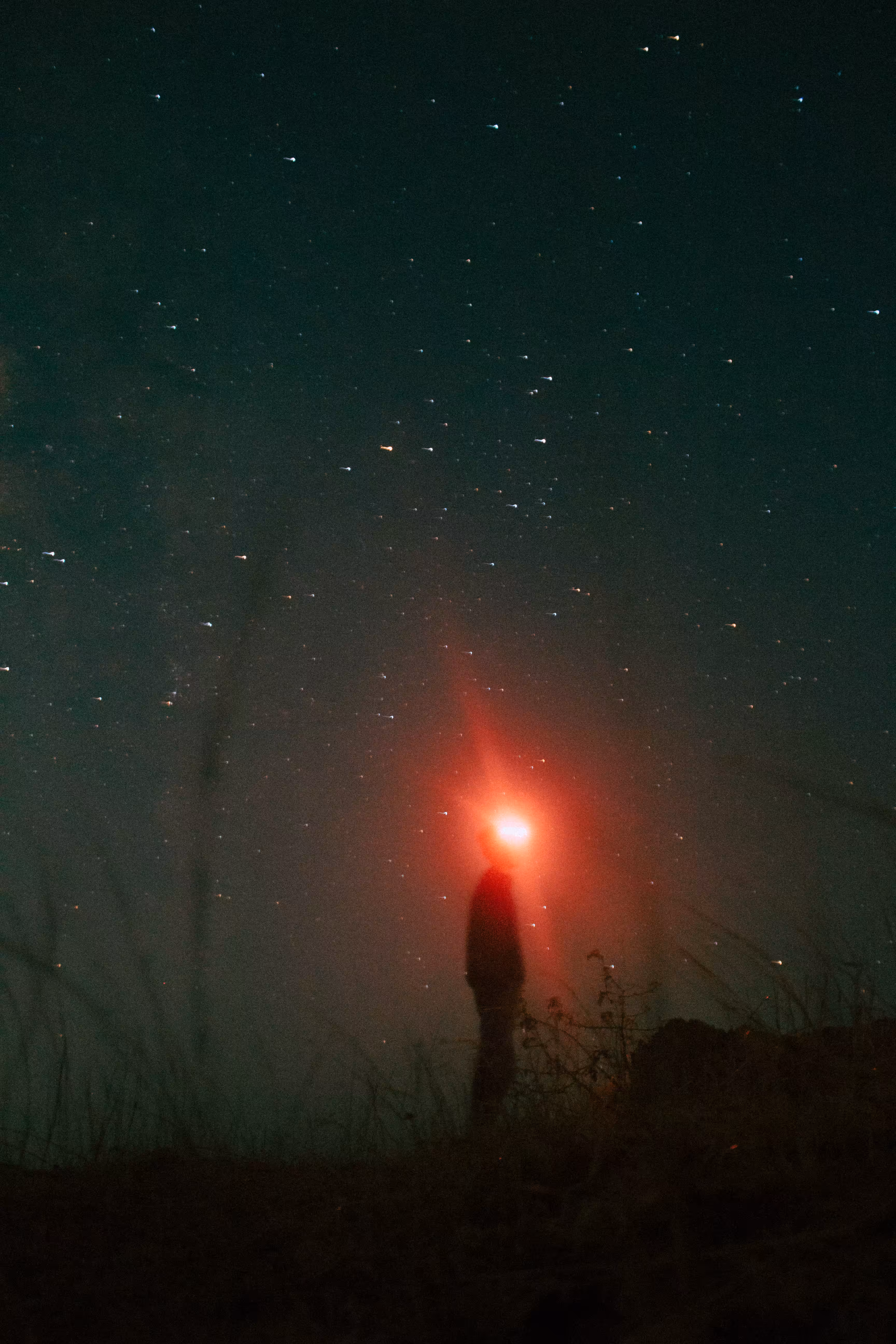 Open Editions: light years