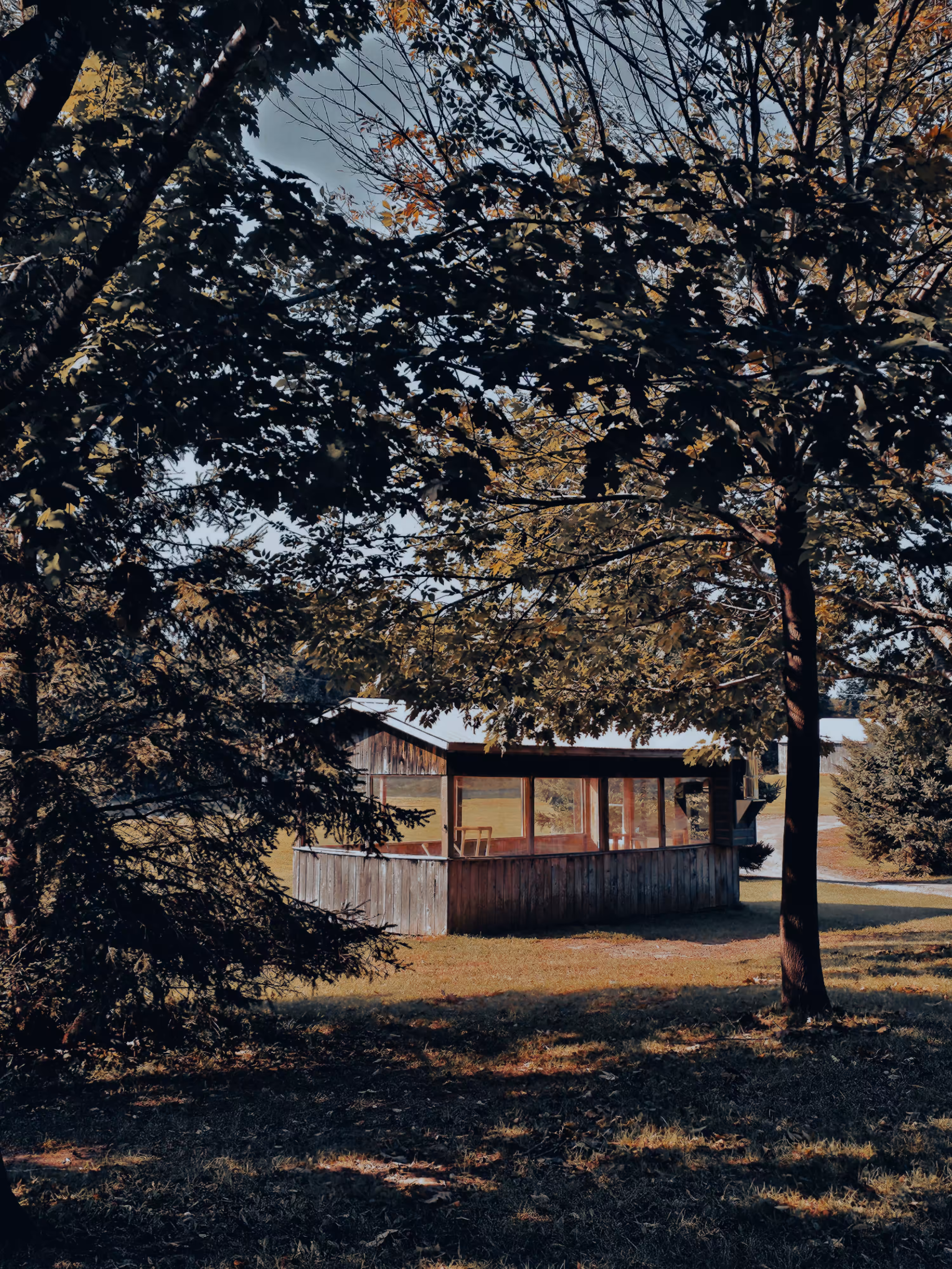 The Peaceful Cabin #02