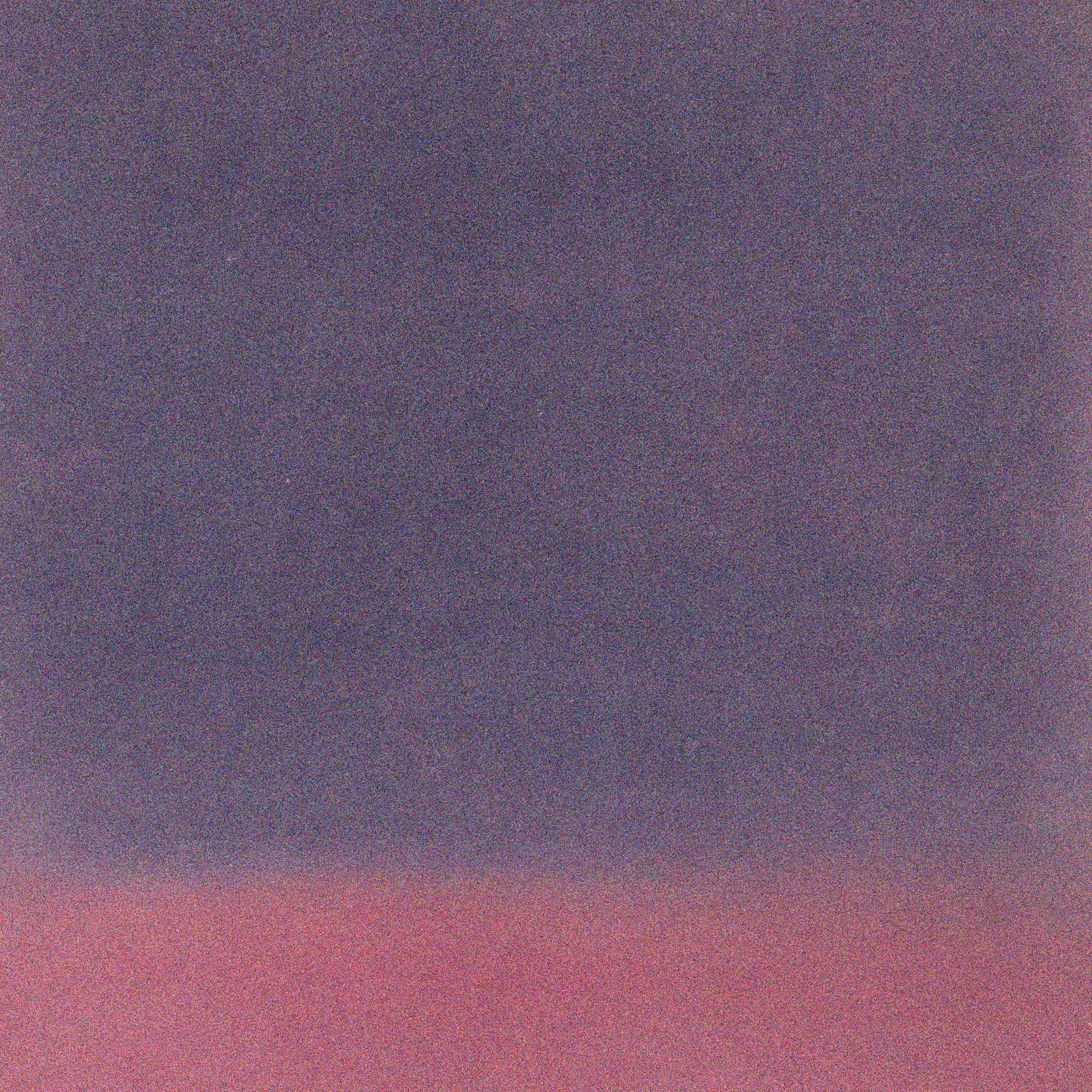 Lilac's Lament
