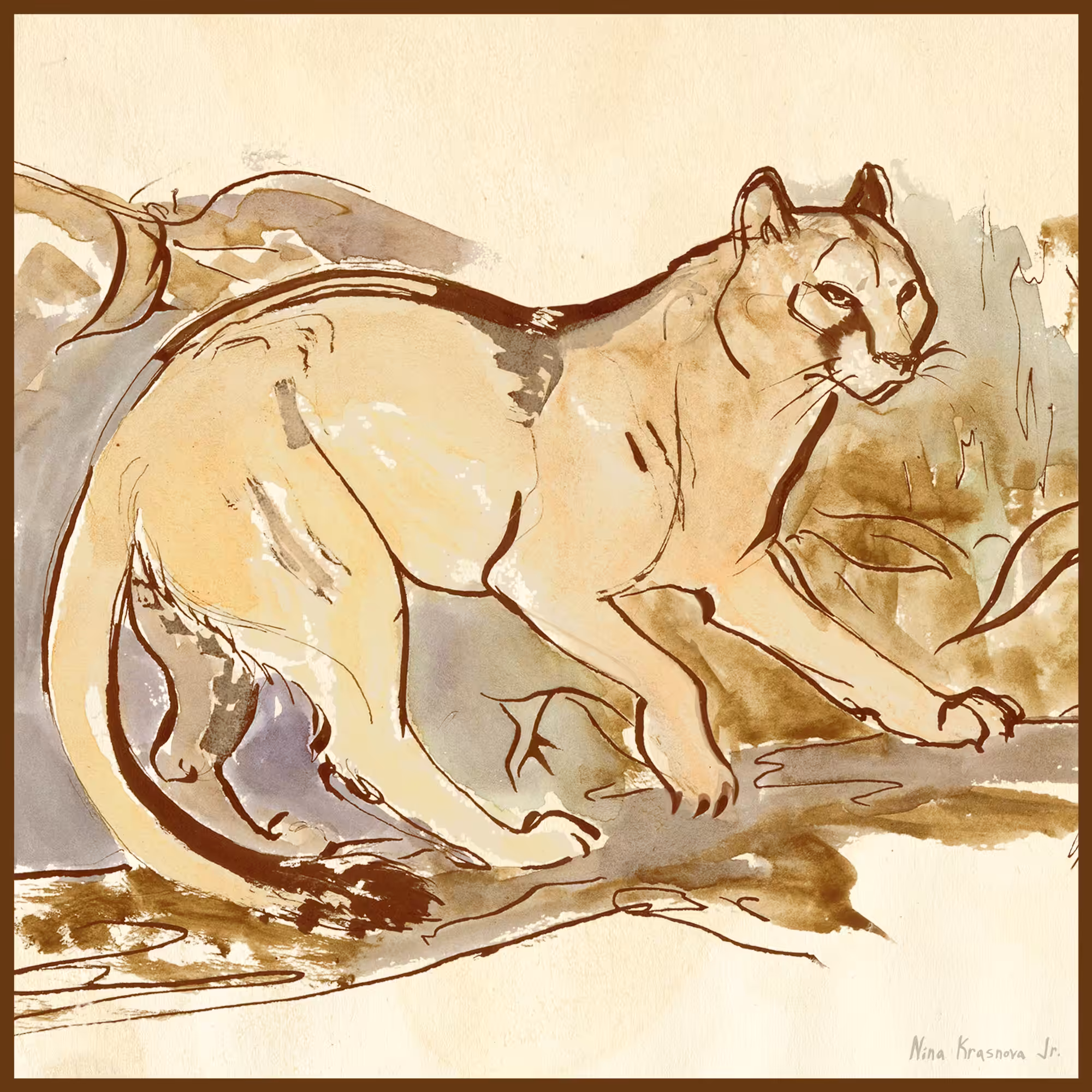 Cougar