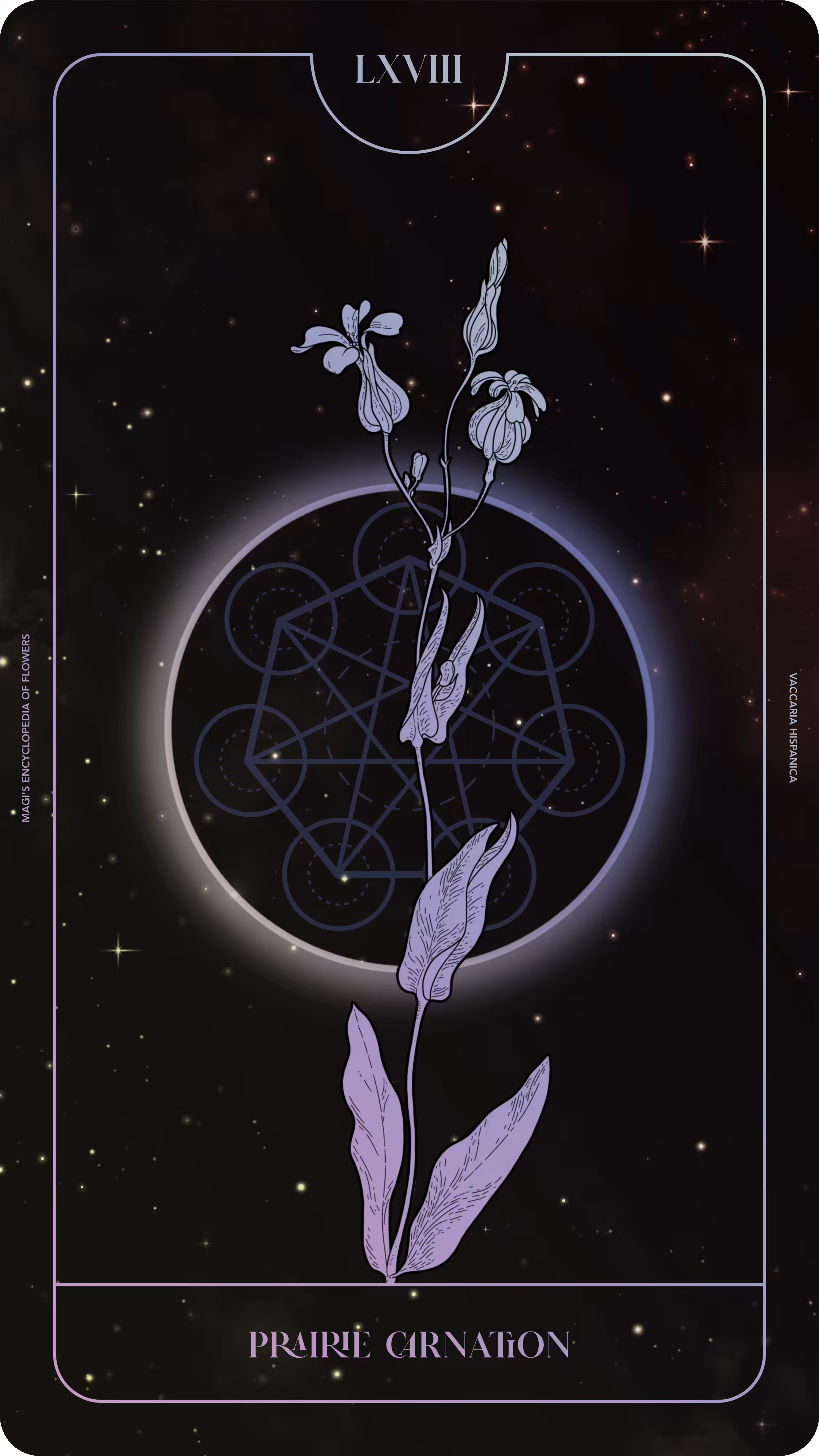 Magi's Encyclopedia of Flowers: 068 Prairie Carnation