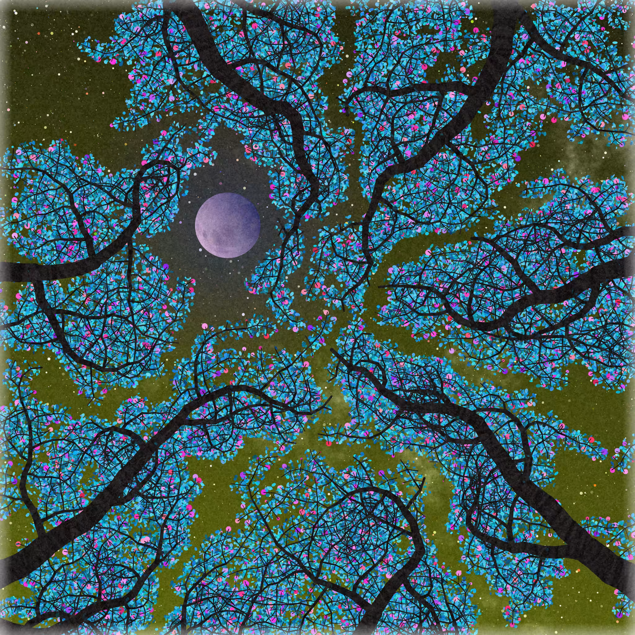 Tree Skyness #1