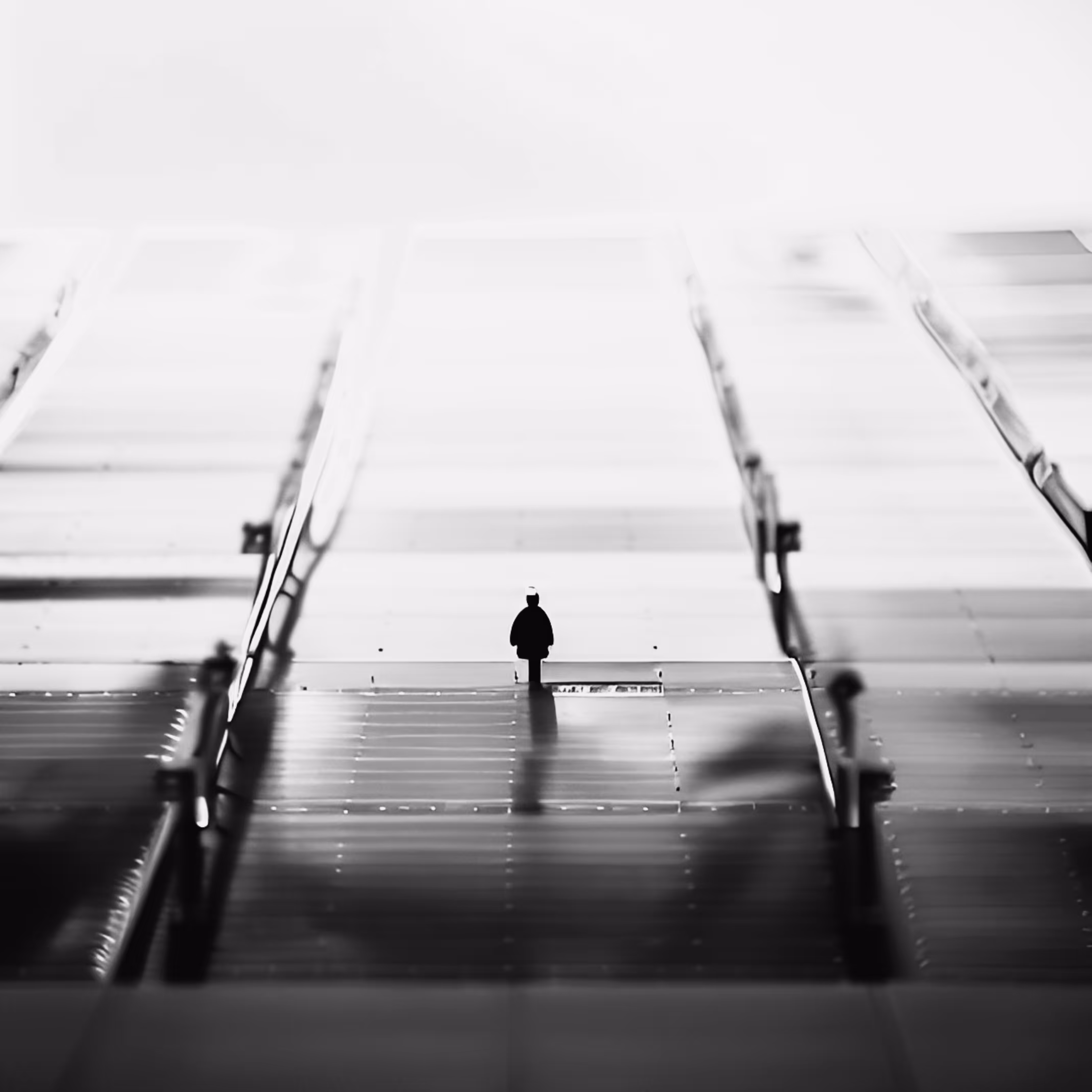 (A day on zeroone)