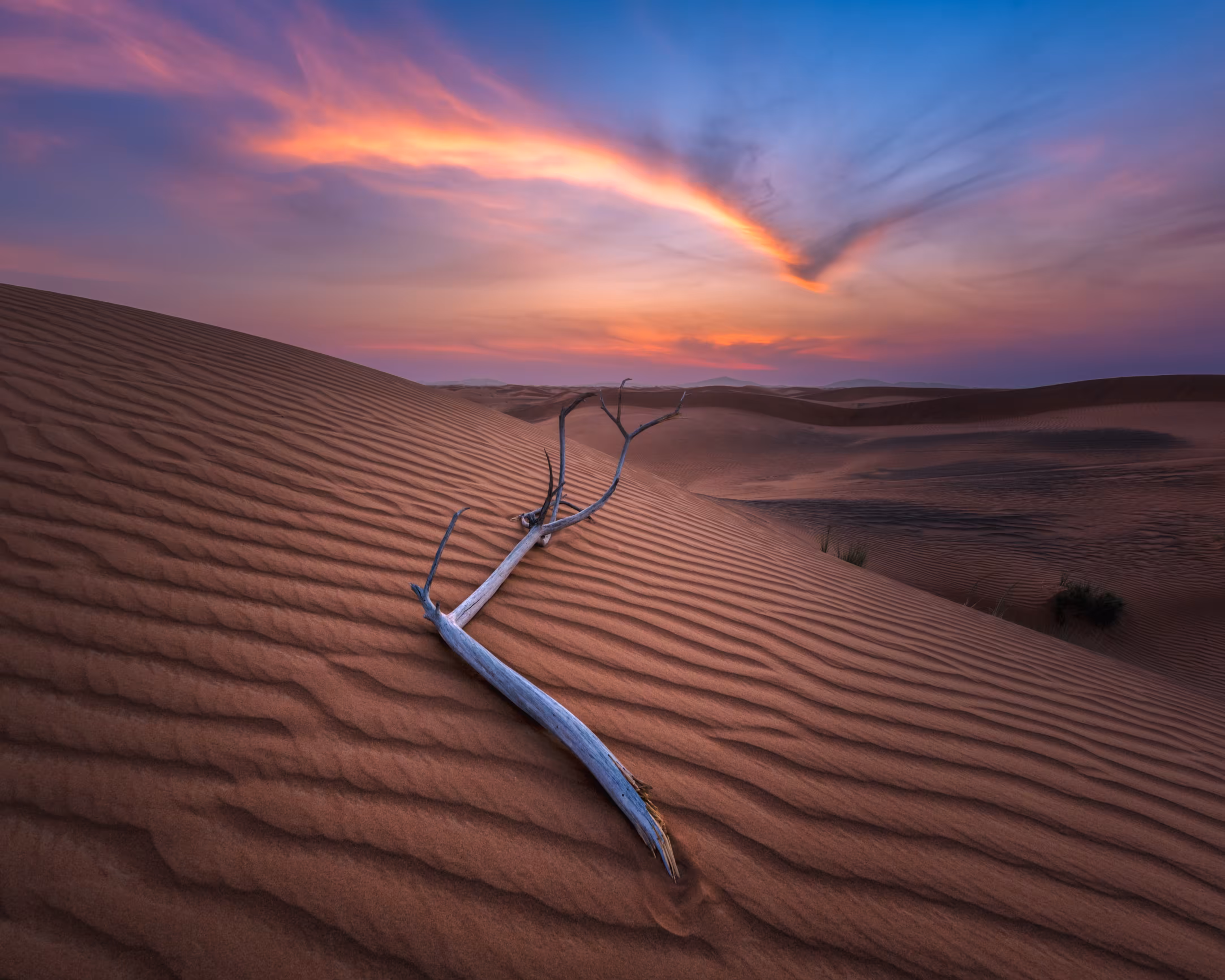 UAE Desertscapes- 16