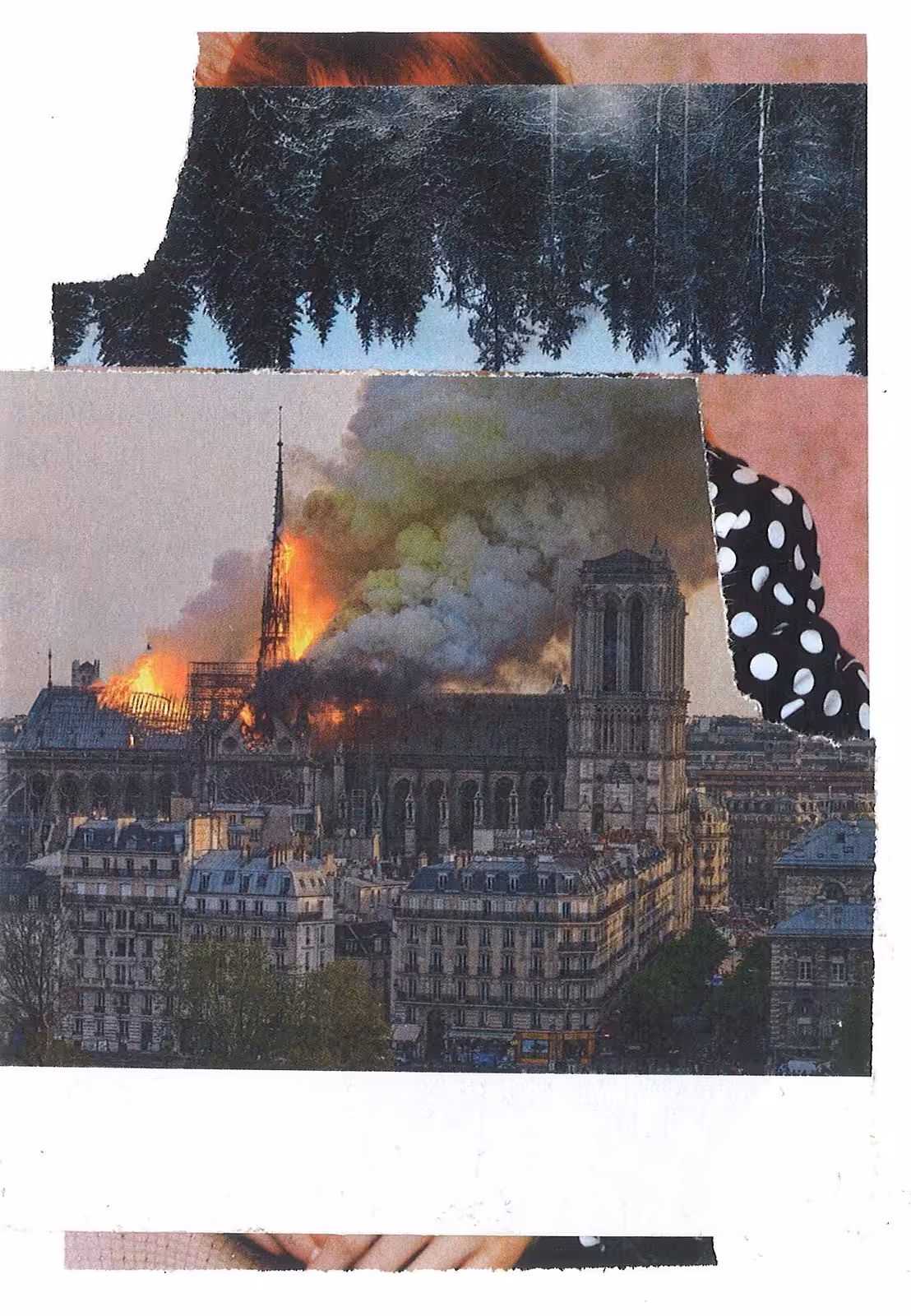 Notre-Dame de Paris