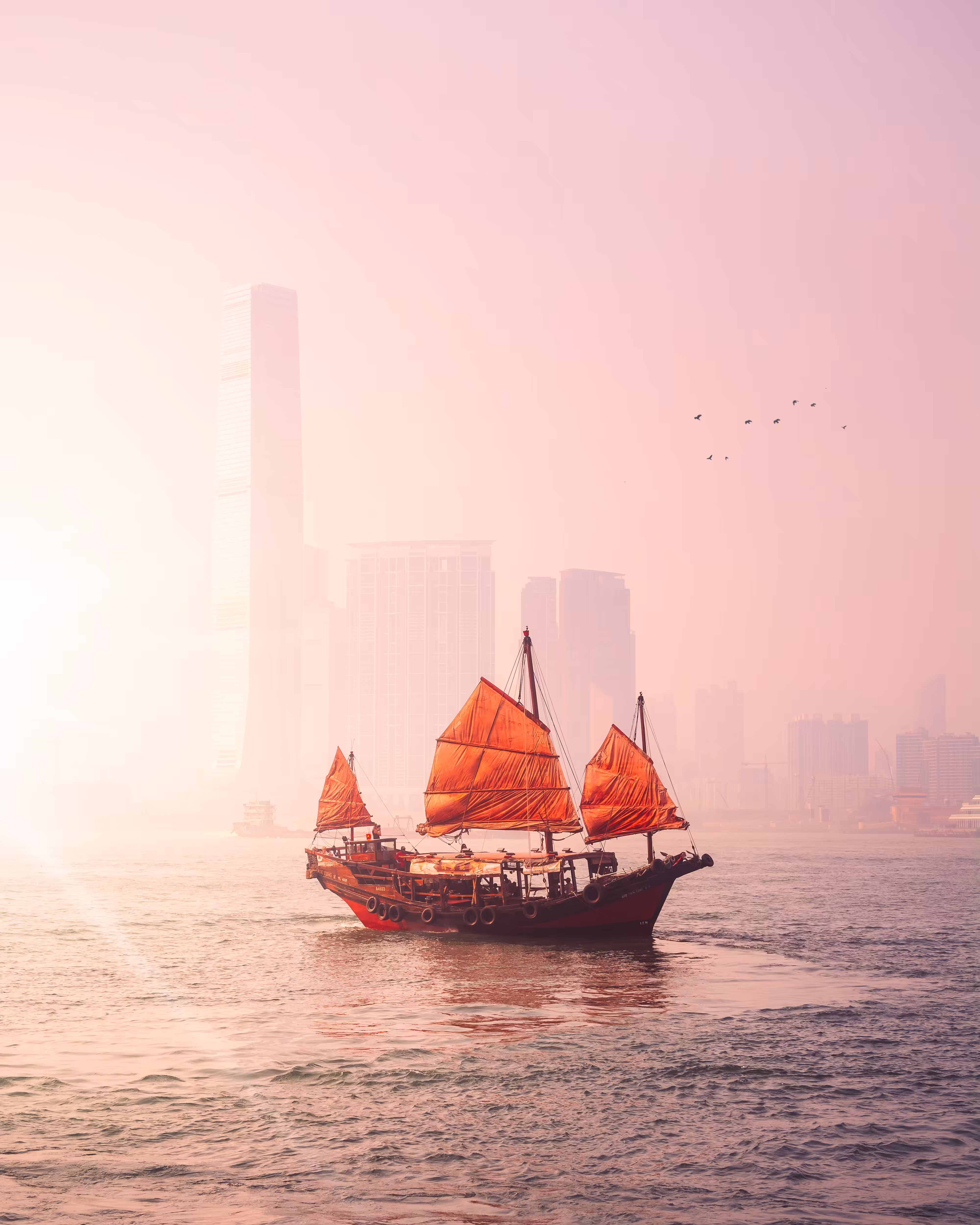 The Dukling of Victoria Harbour
