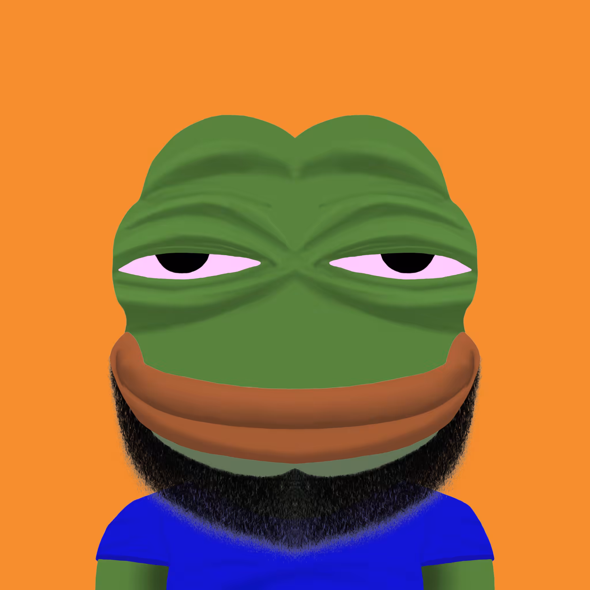 FROJI2D #69