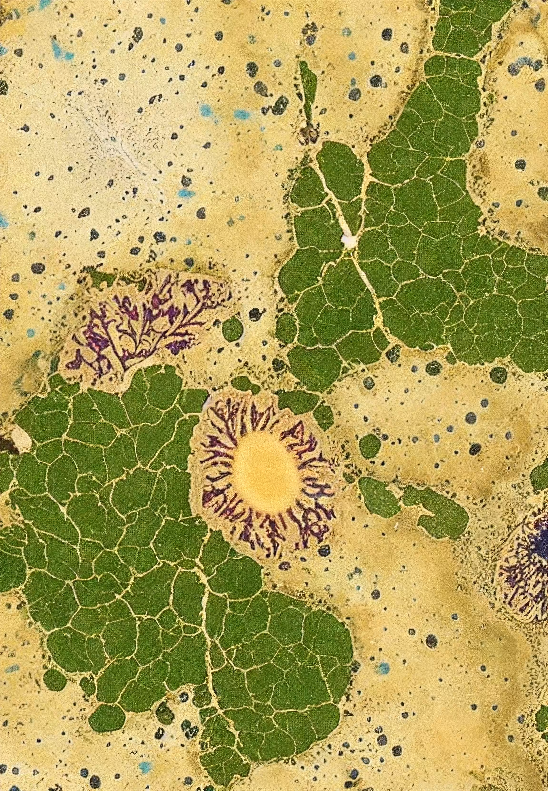 Histologia In Silico #123