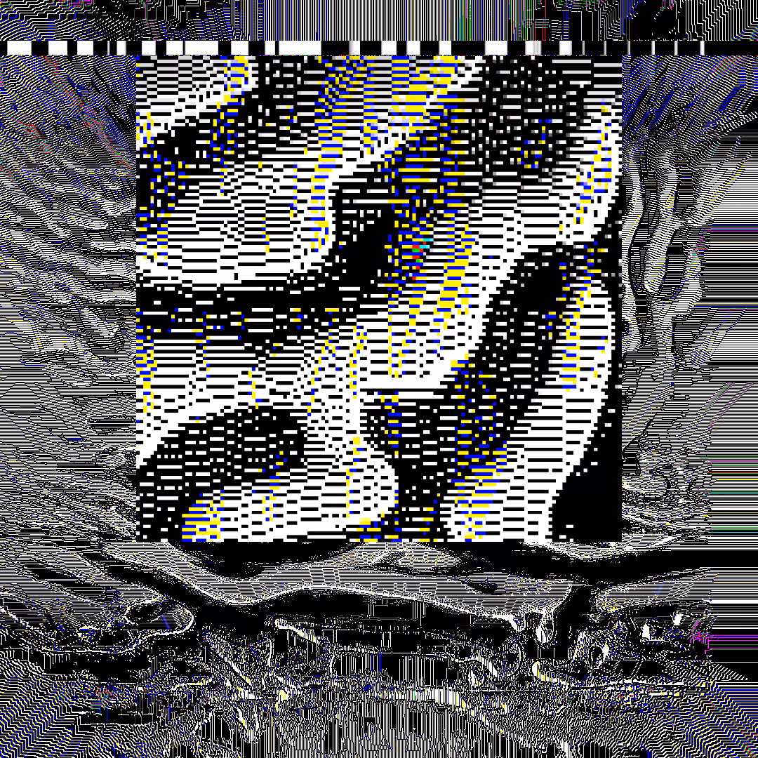 nearest neighbor - genesis  #48