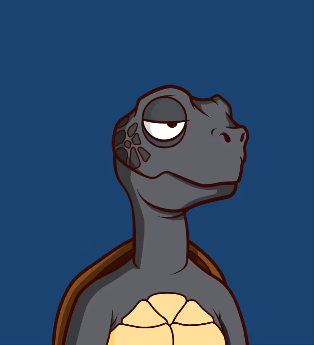 Tiny Turtle 84